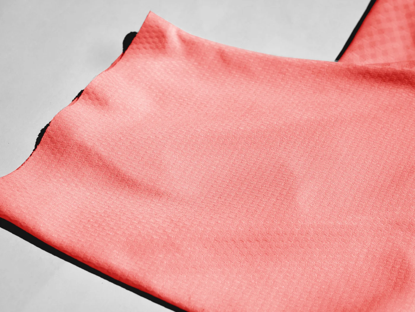 CORAL-2.jpg