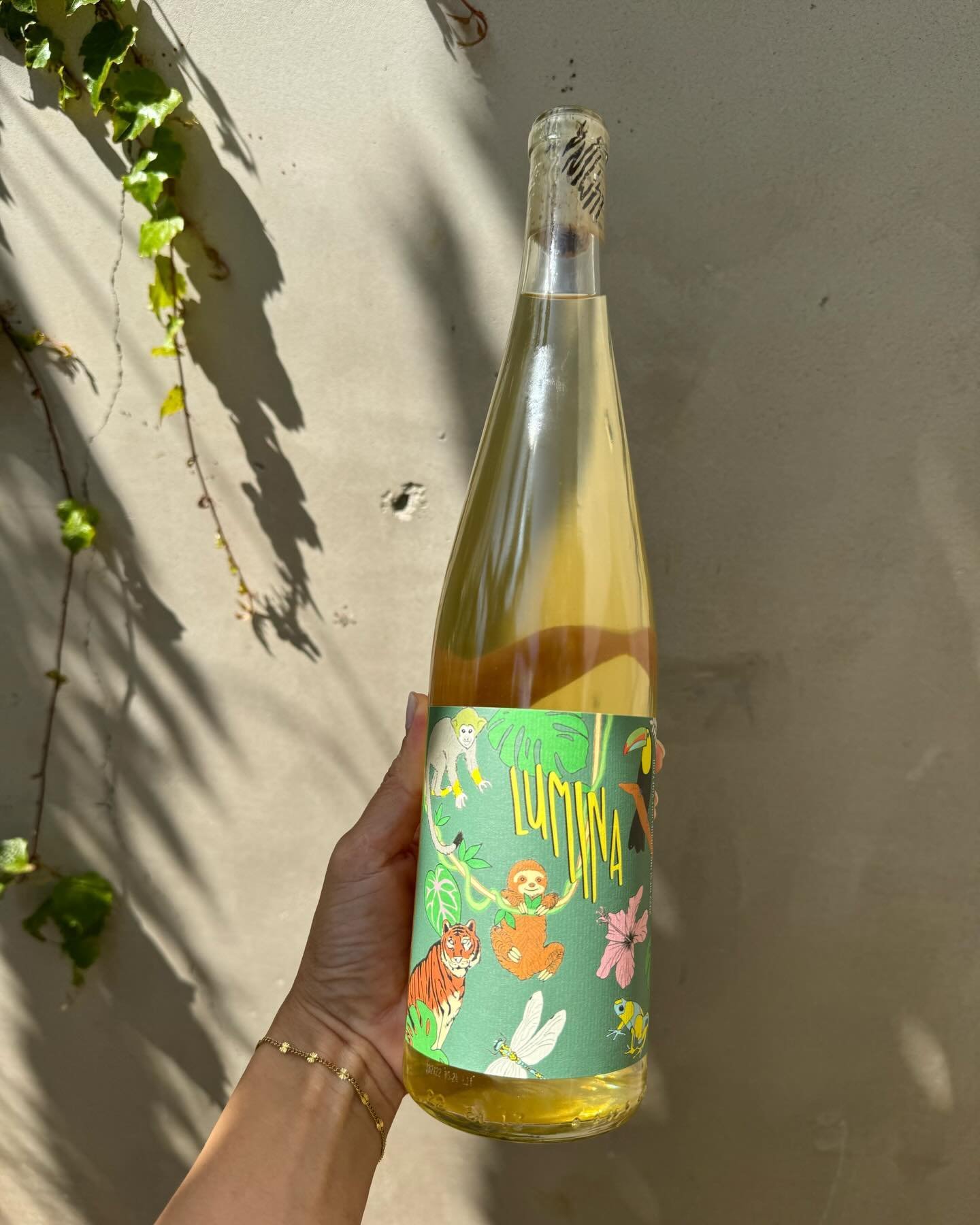 🛎️ Riesling 🔔 
By Lumina wines 
&bull;
On the nose, a bouquet of white flowers, key lime, apricot, a slight aroma of lychee, and citrus blossom. The palate is vivacious with orange blossom, key lime, and apricot.
Now pouring 🥂