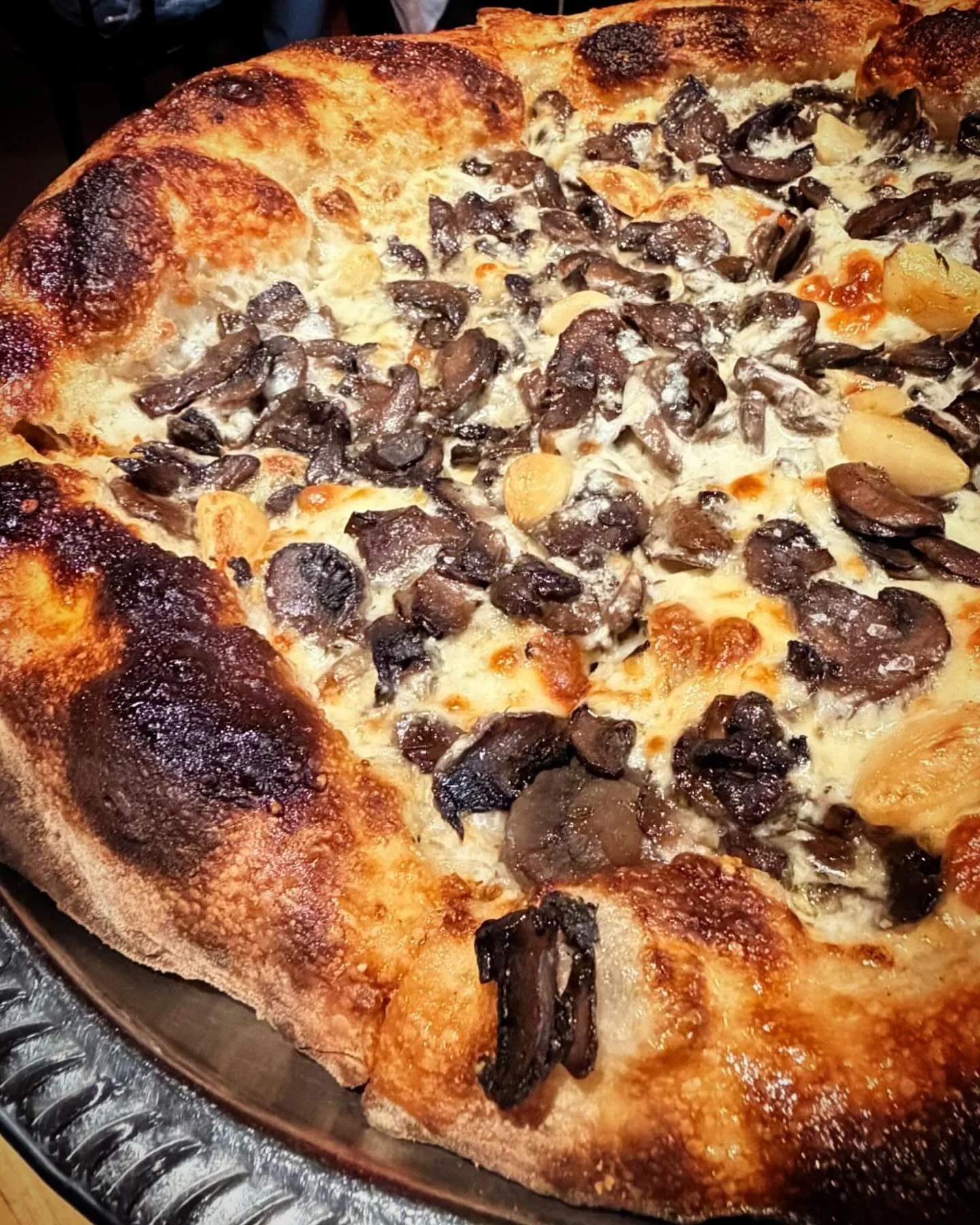 🍄&zwj;🟫 MUSHROOM PIZZA 
black truffle b&eacute;chamel &bull; roasted garlic &bull; a big crust &bull; provolone &bull; pecorino &bull;thyme
&bull;
On the menu everyday ☀️