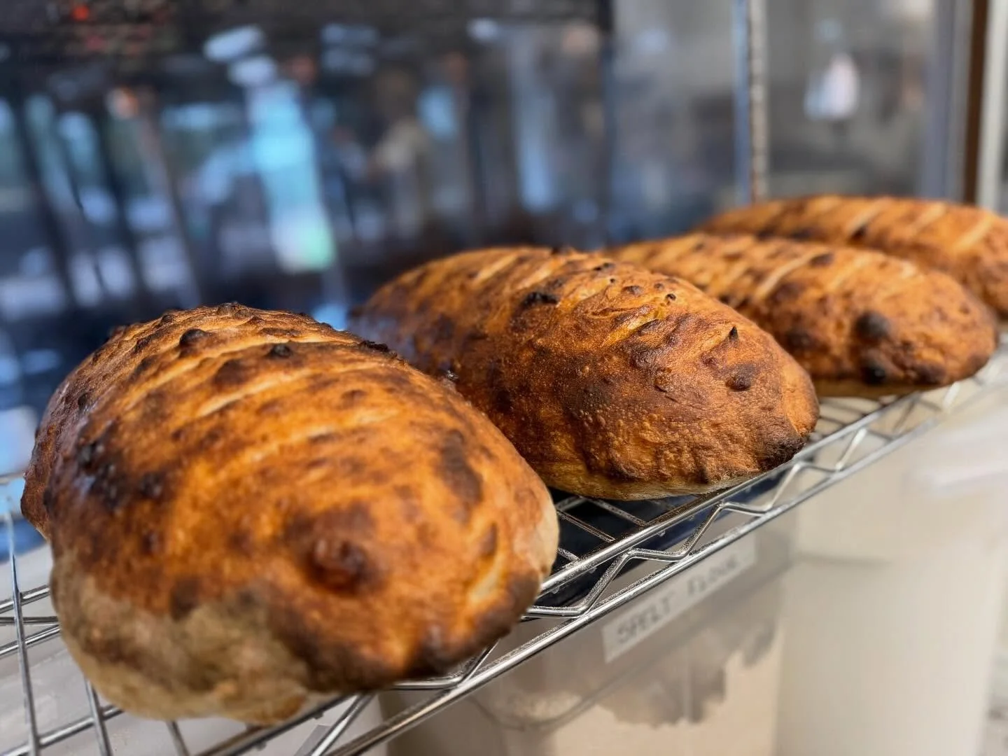 Kinda made some really really epic bread just rn 🌾
&bull;
🚪 open at 4pm today