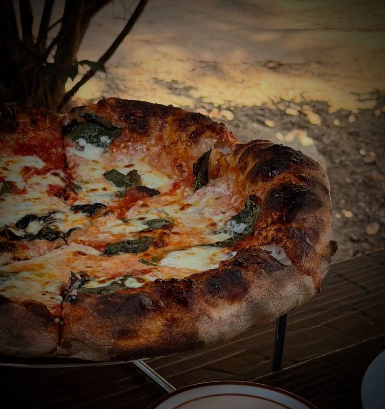 Legitimately thought today was Friday for some pizza reason.
&bull;
&bull;
&bull;
&bull;
Plenty of 🪑 at both locations tonite 🌙
WALK-INS &amp; TAKOUT at both spots a plenty!
reserve🪑 on YELP.COM for both Costa Mesa &amp; Culver City

Visit our web
