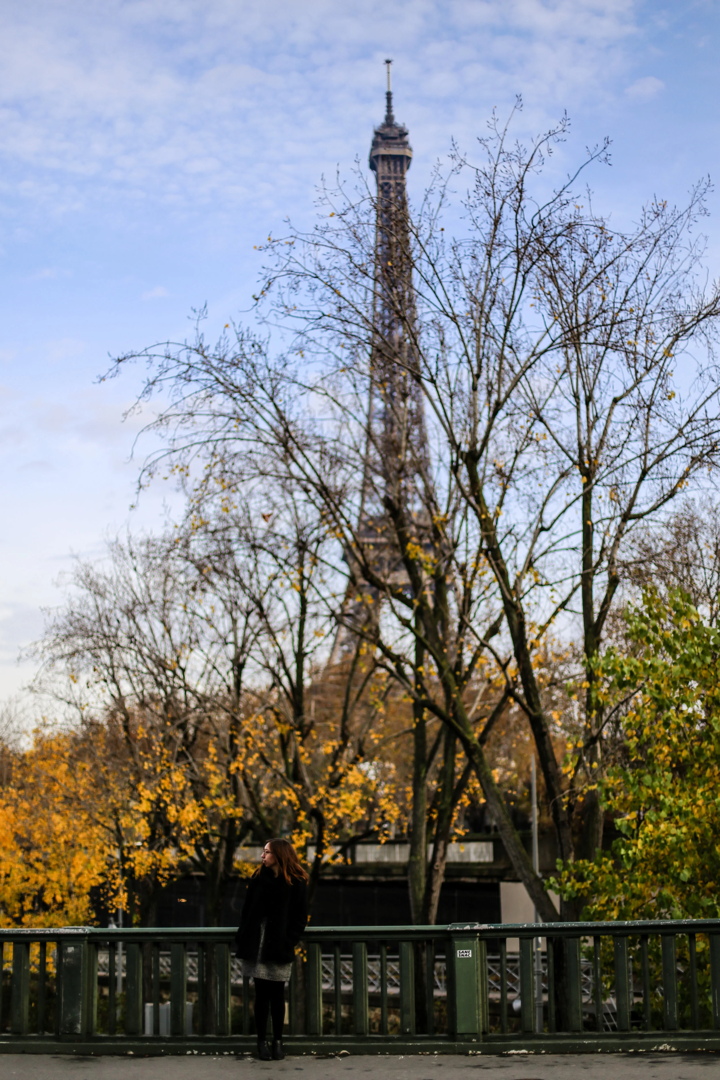 IMG_5433.jpg