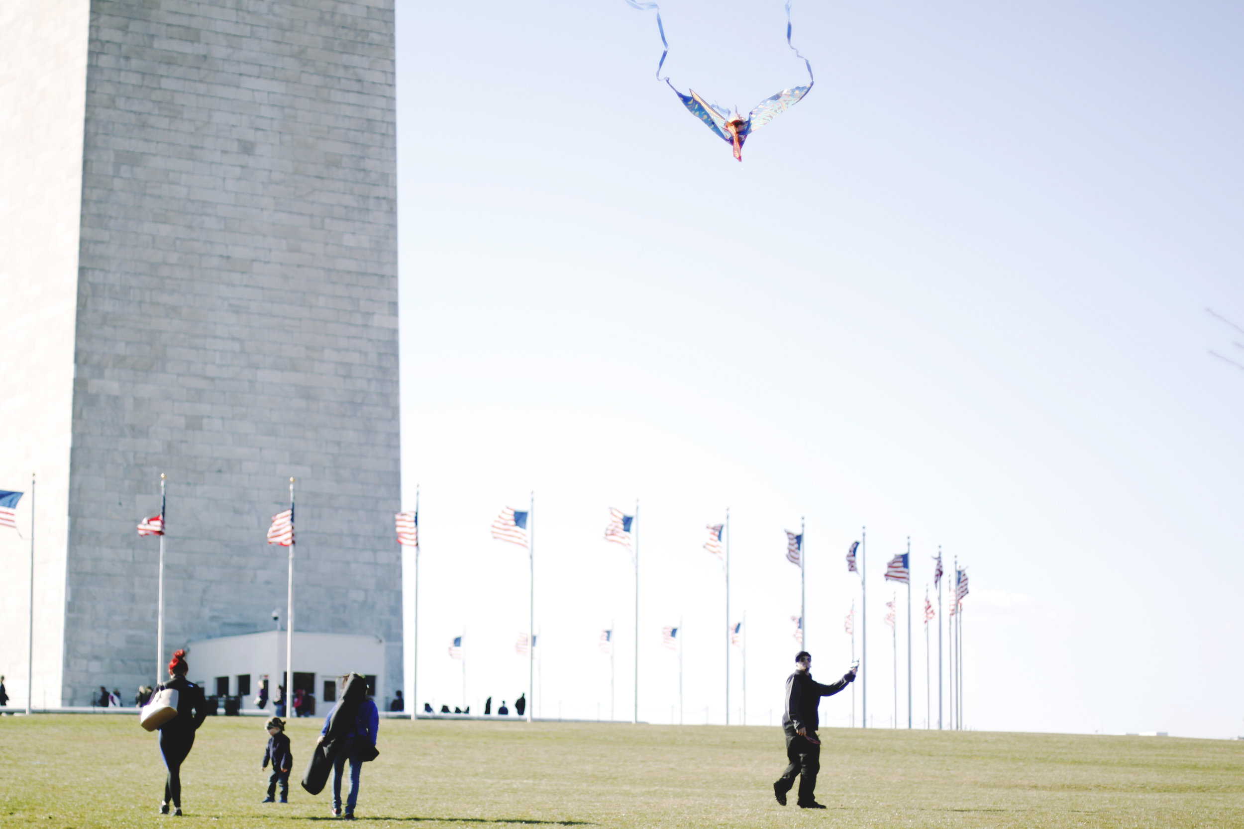 _MG_0768.JPG