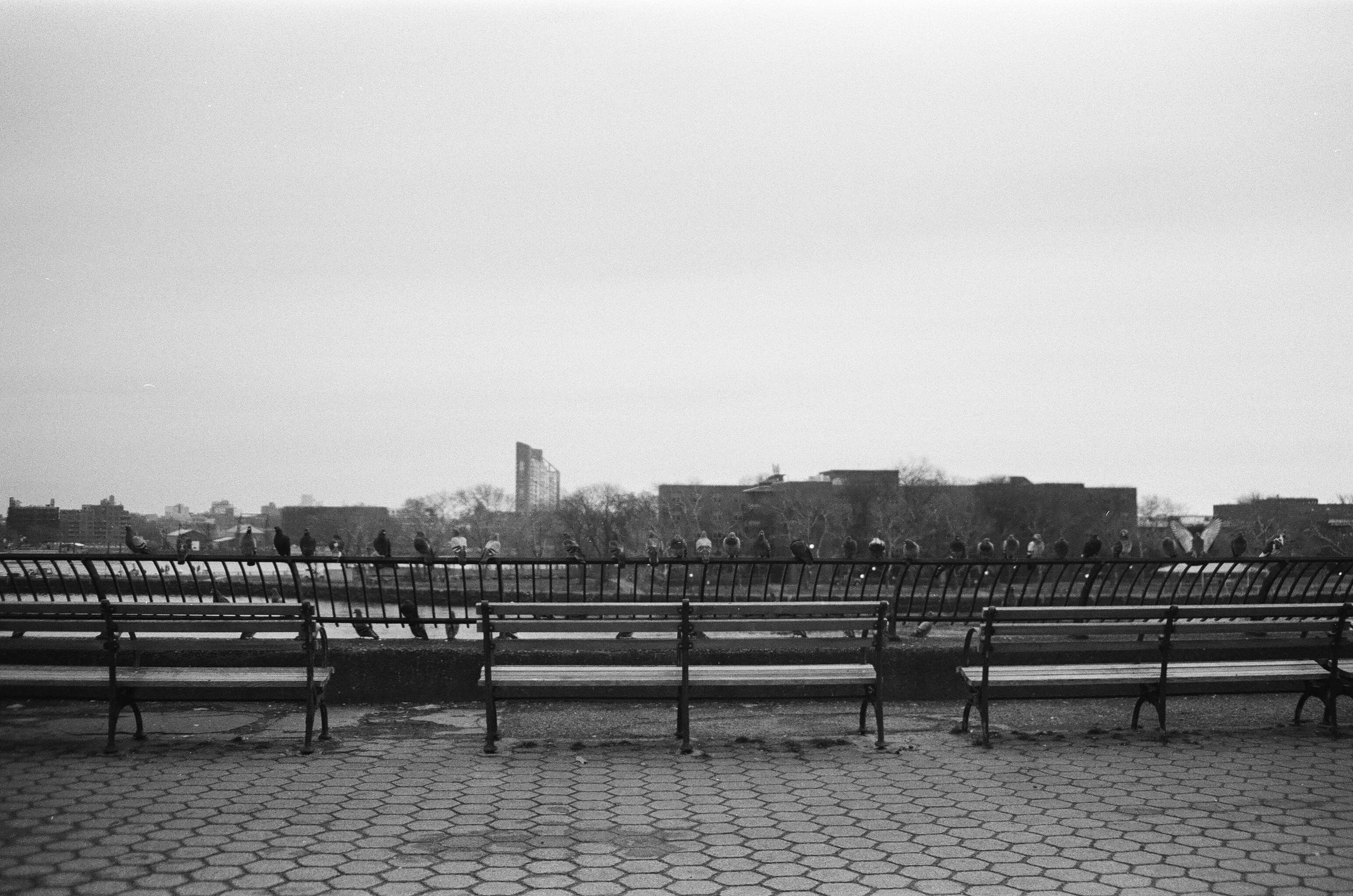 000994500035.jpg