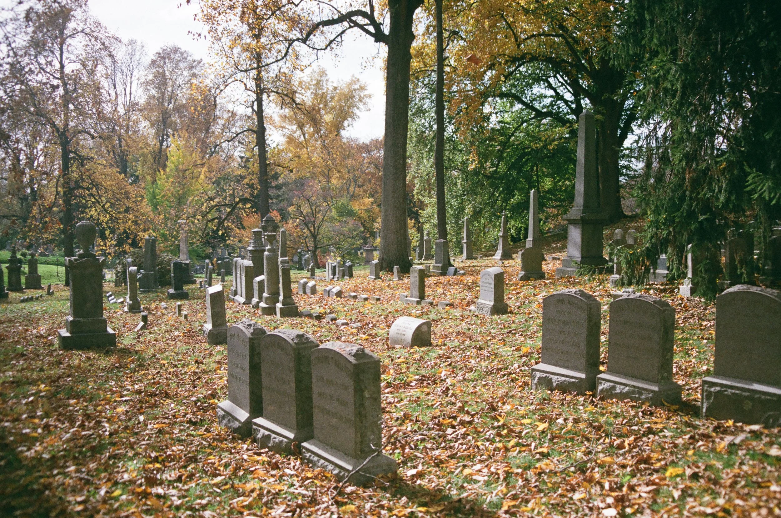 000002020014.jpg