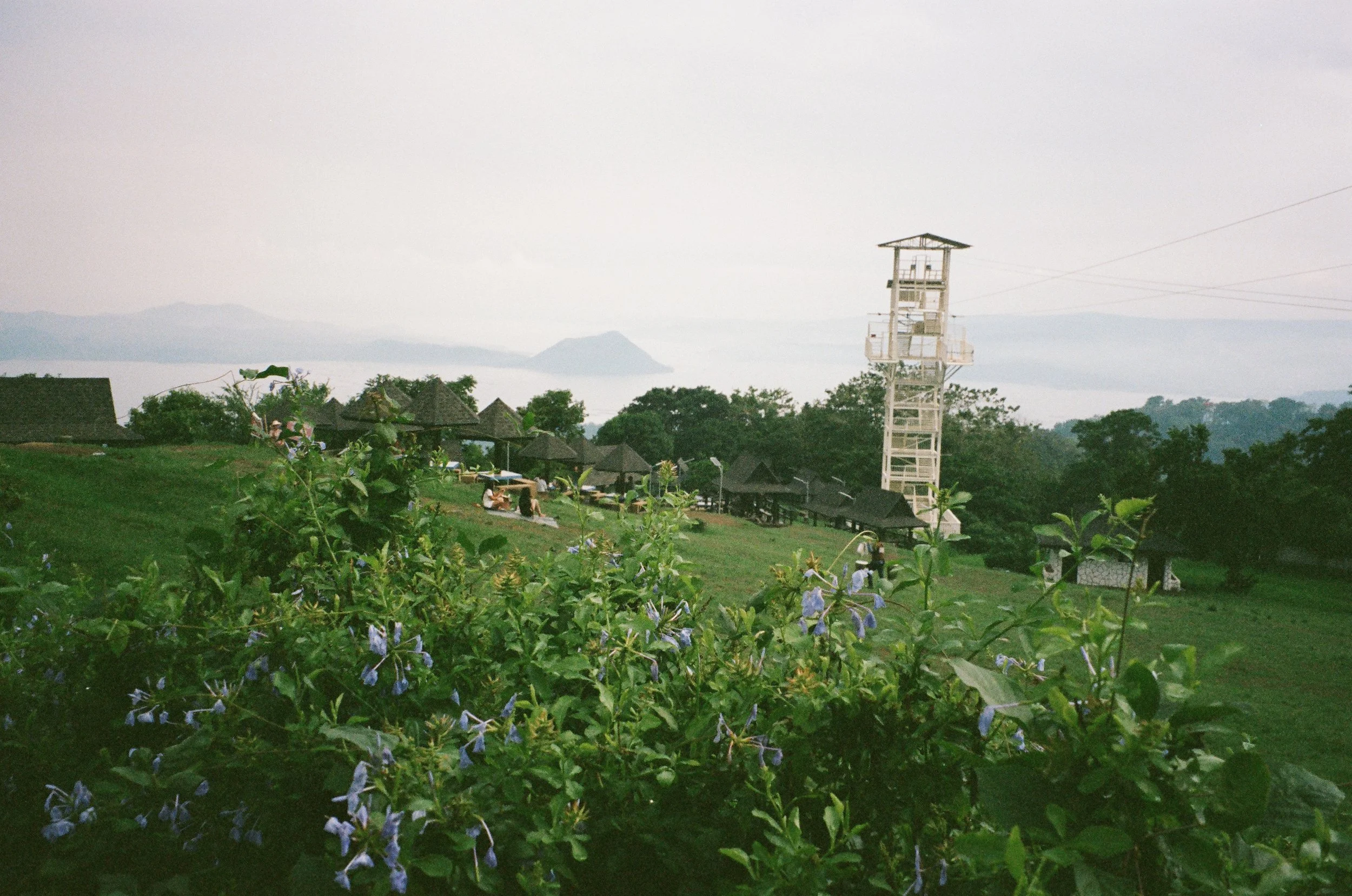 15440025 copy.JPG