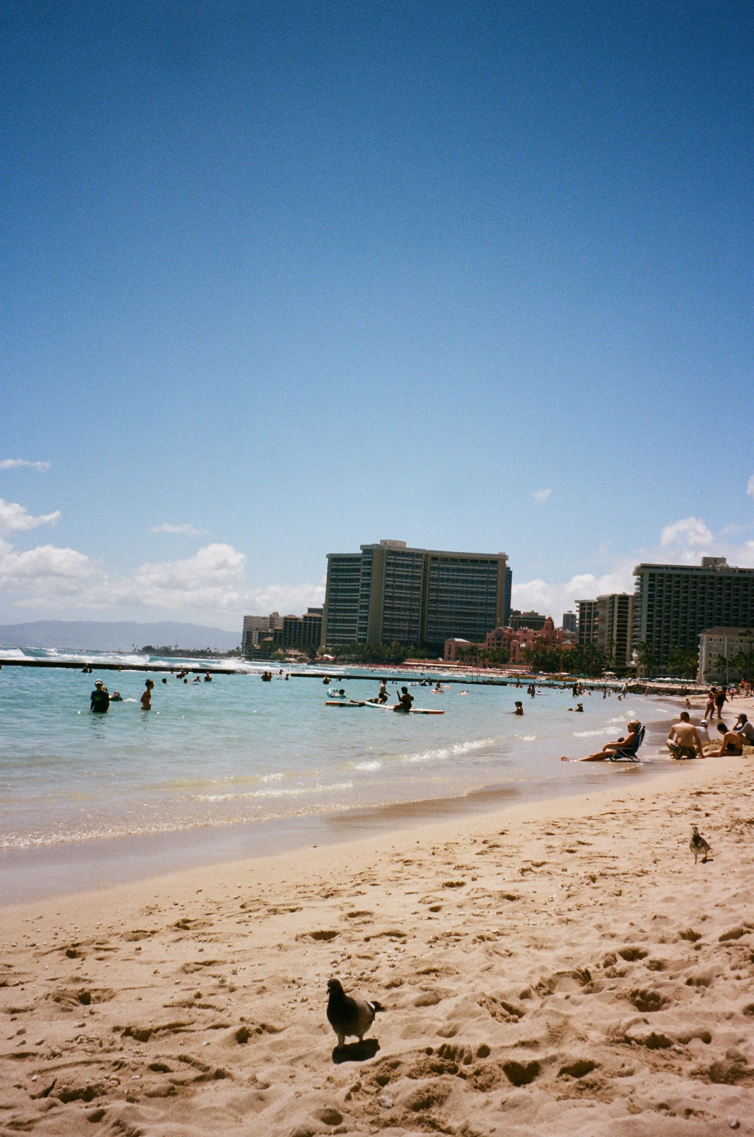 15420016 copy.JPG