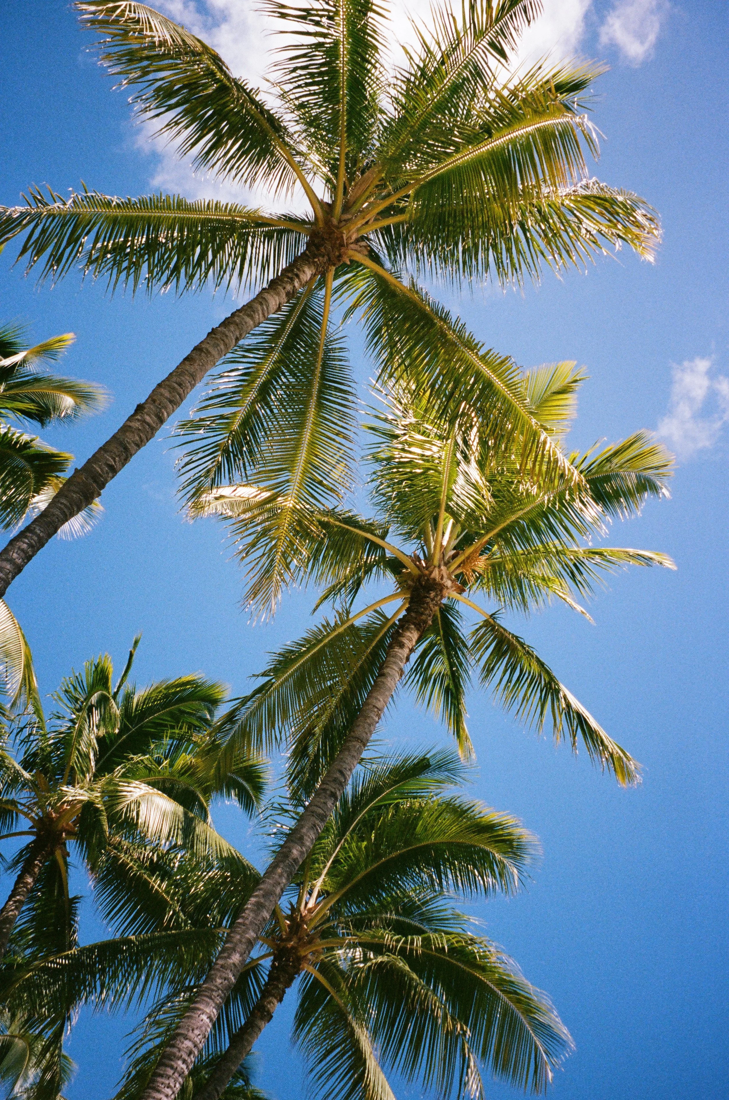 15420017 copy.JPG