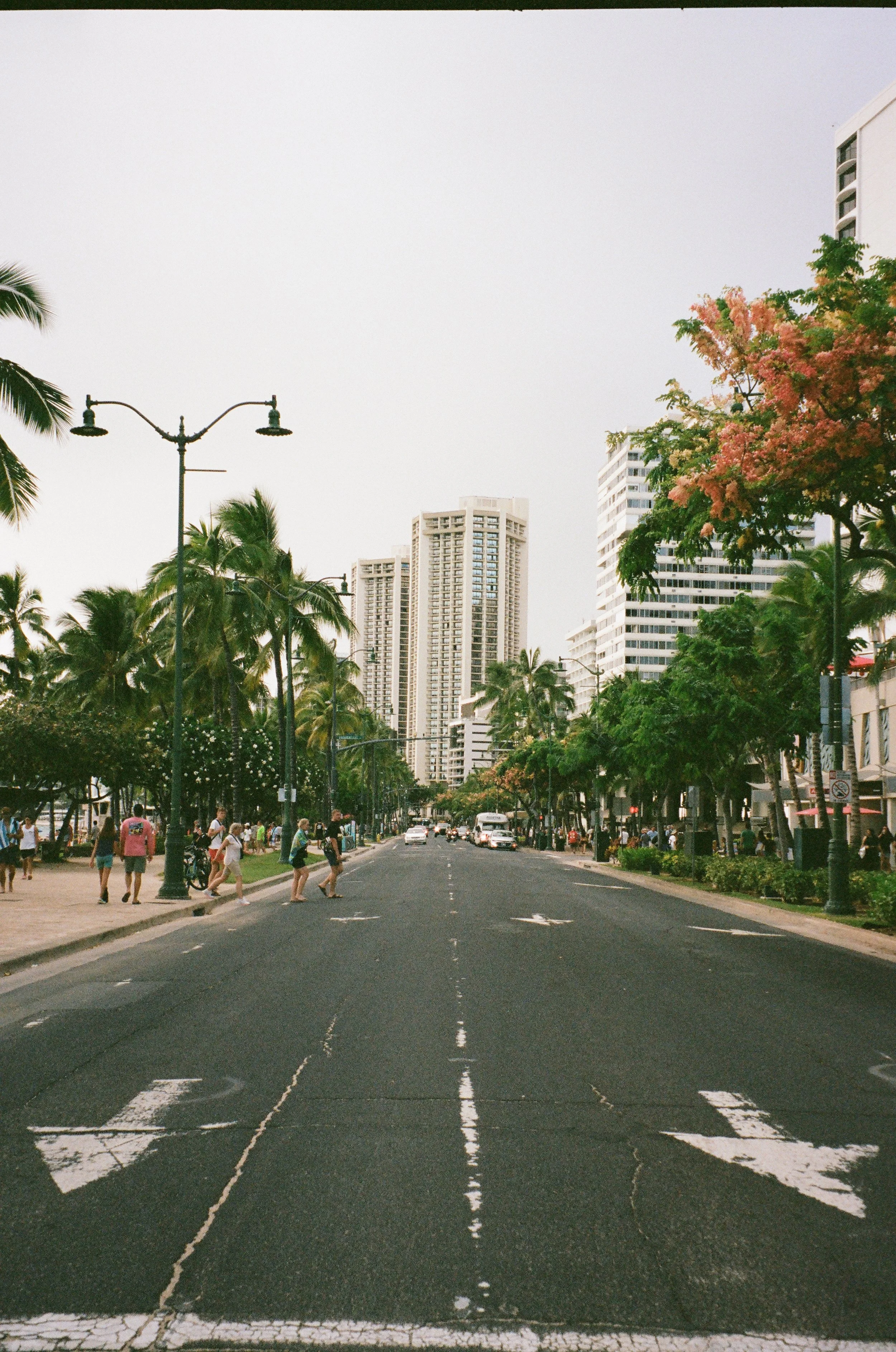 15390029 copy.JPG