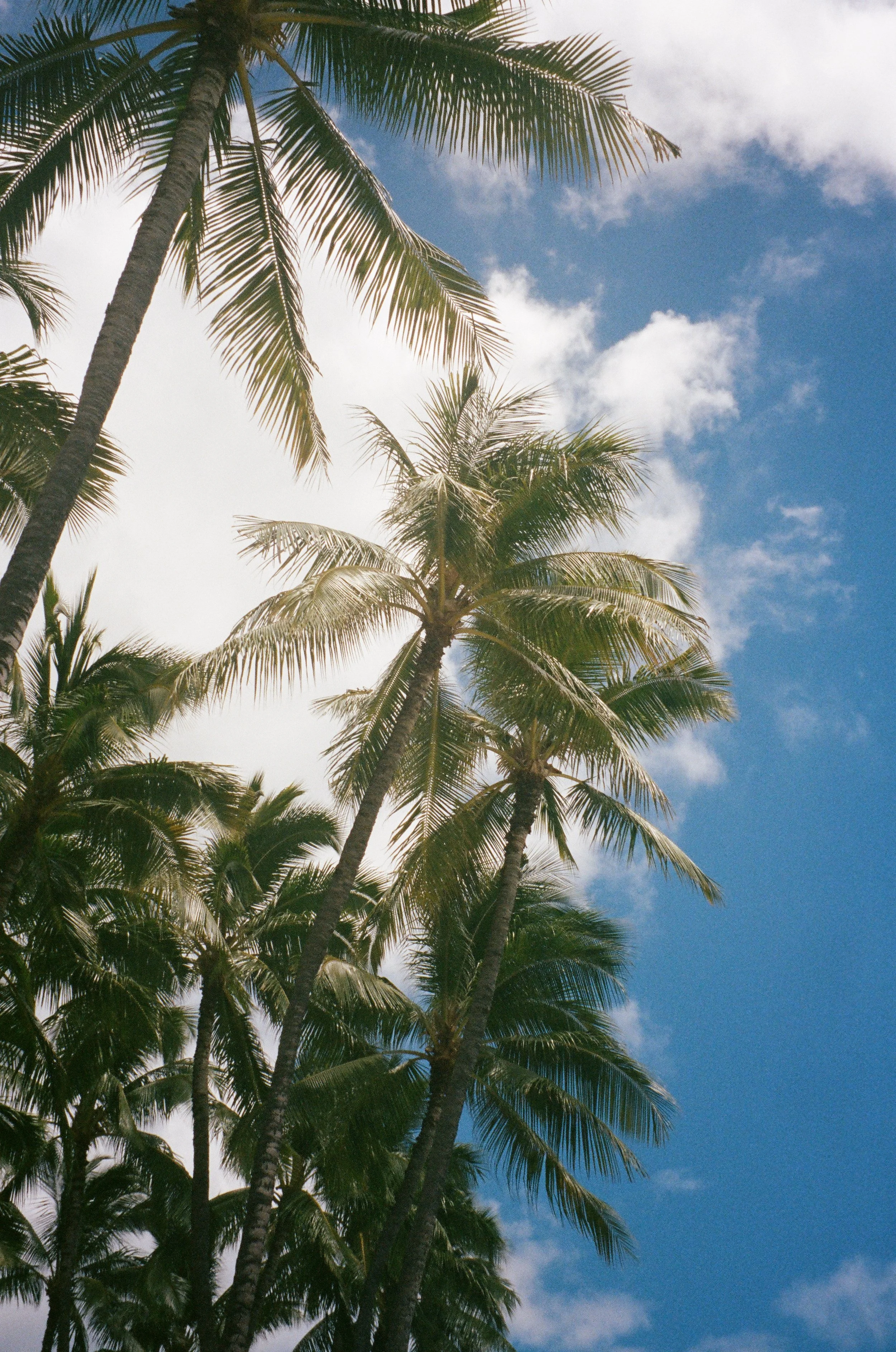 15390026 copy.JPG