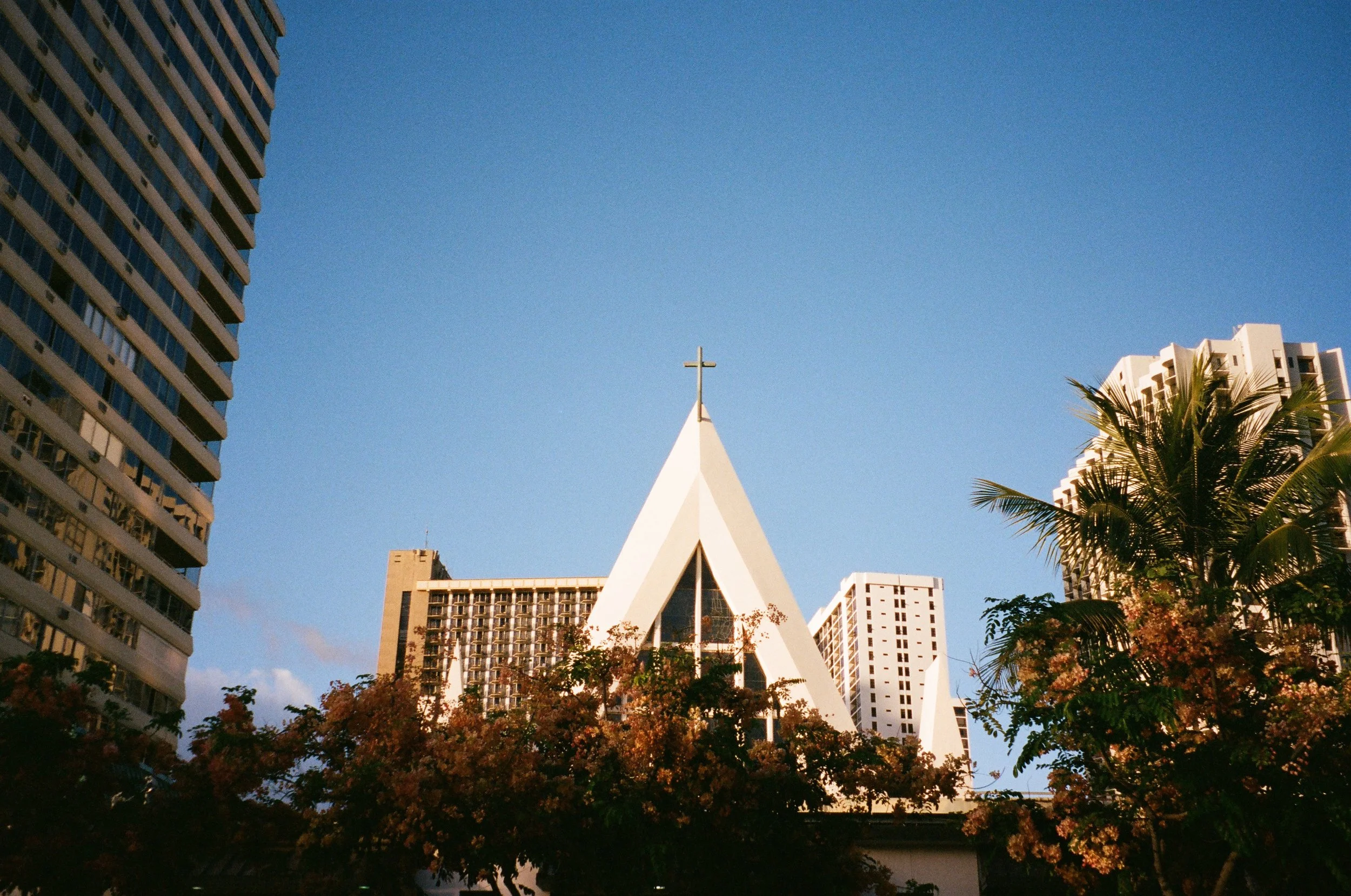 15420028 copy.JPG