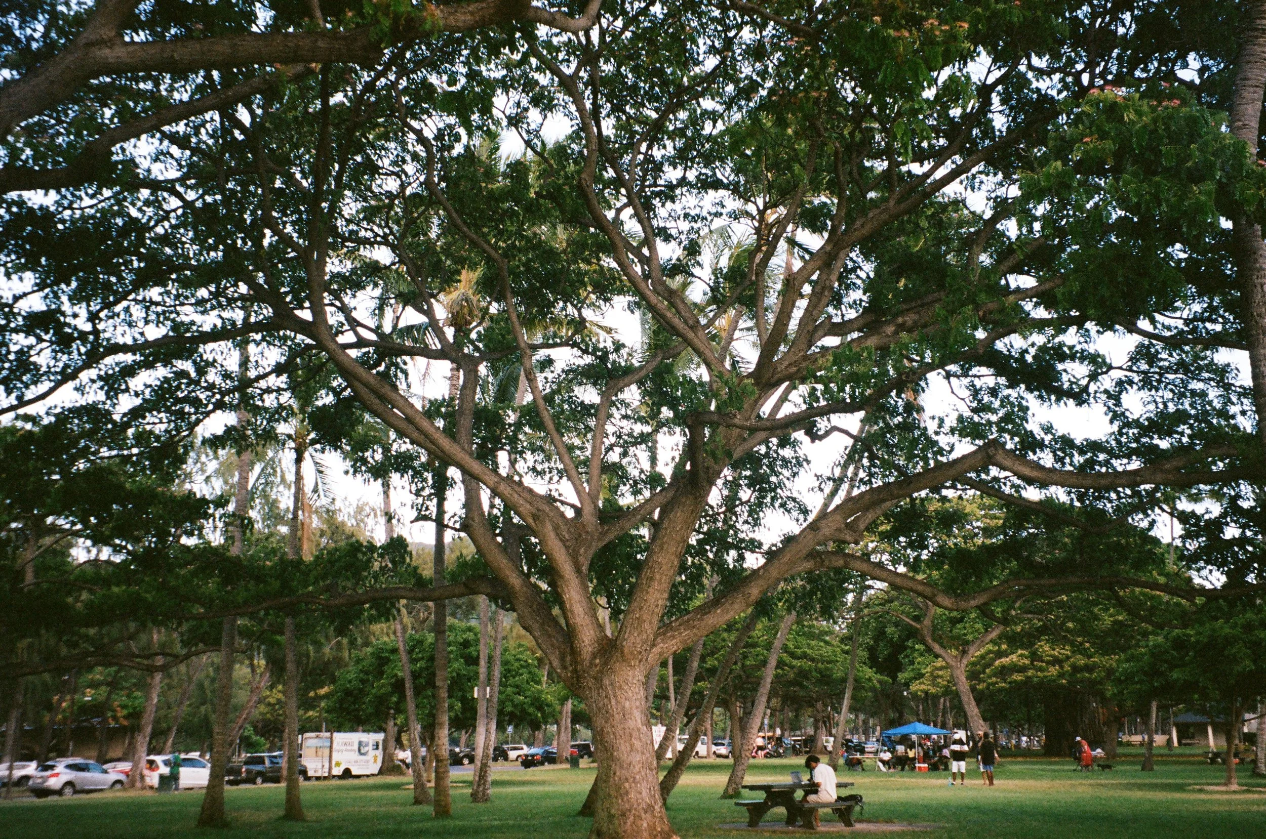 15390034 copy.JPG