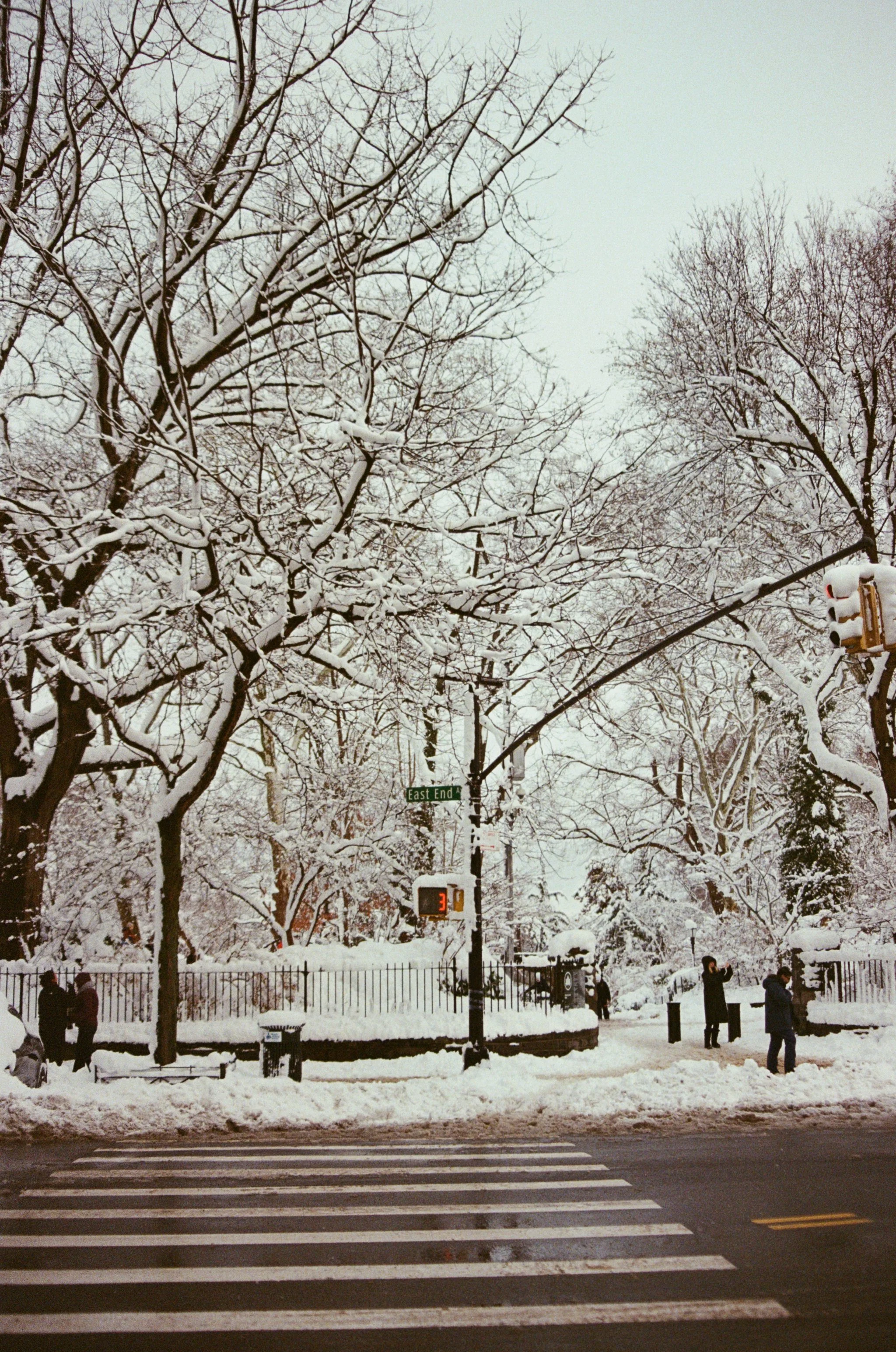 IMG_8273.JPG