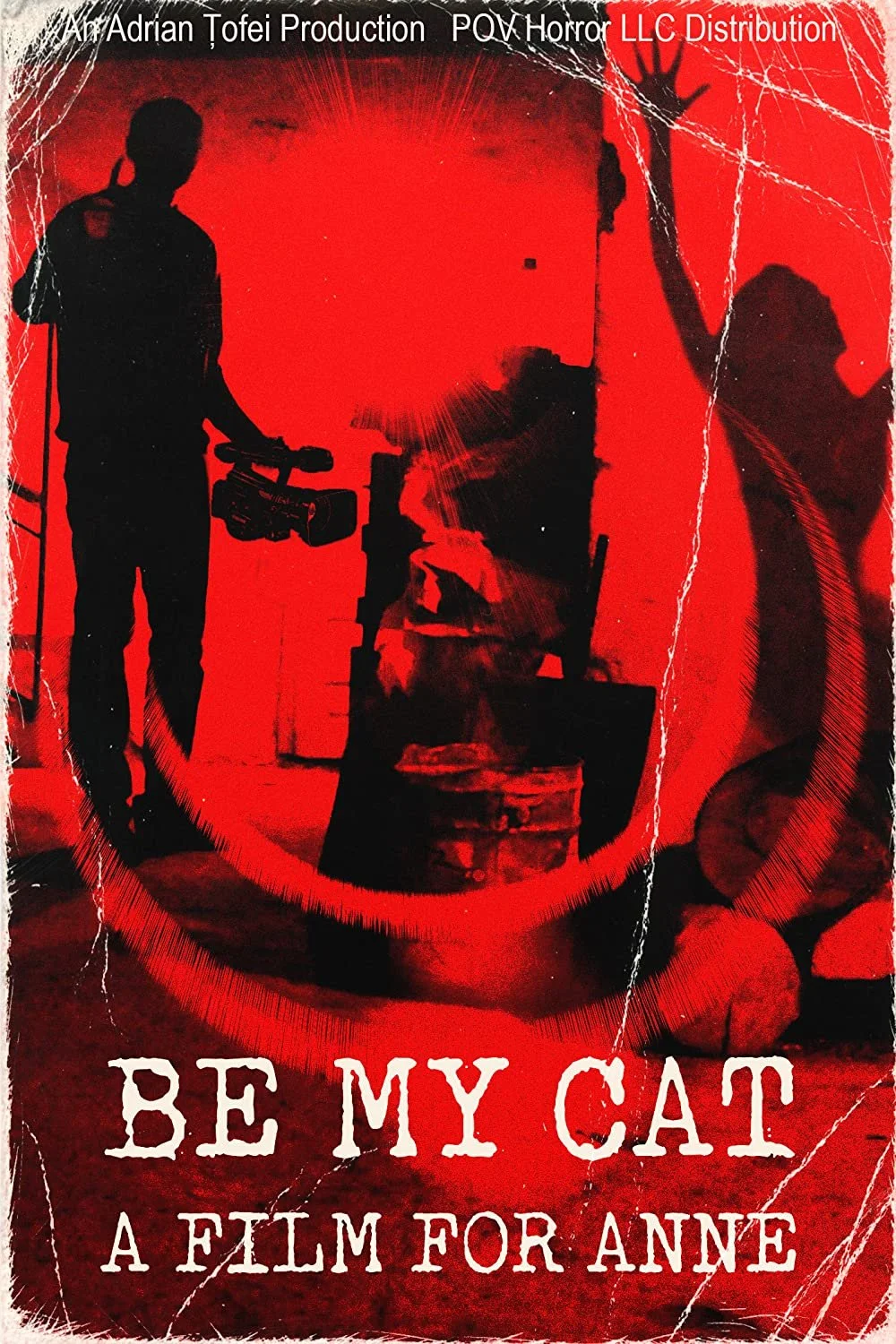 Found Footage February Day 28 Be My Cat: A Film for Anne!!