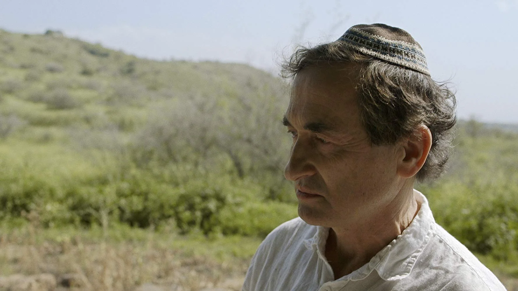 The Golan Swimmingpool, Documentary, Esther Zimmering.jpg