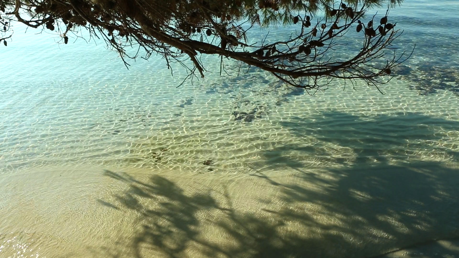 Sea_Formentor_1.jpg