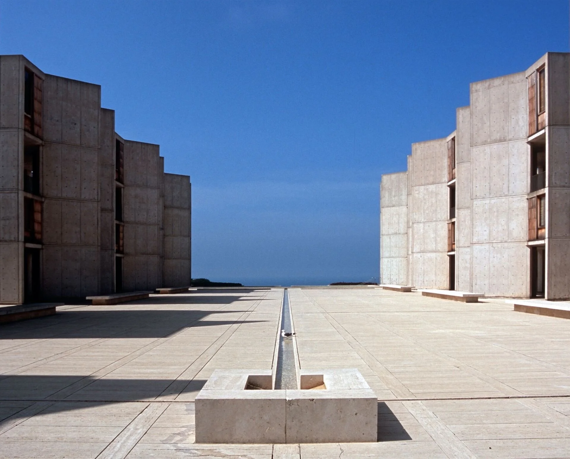 KidSketchSD: Salk Institute