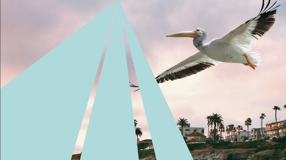 Friends of SD Architecture: A Preview of AIA26 Conference on Architecture &amp; Design