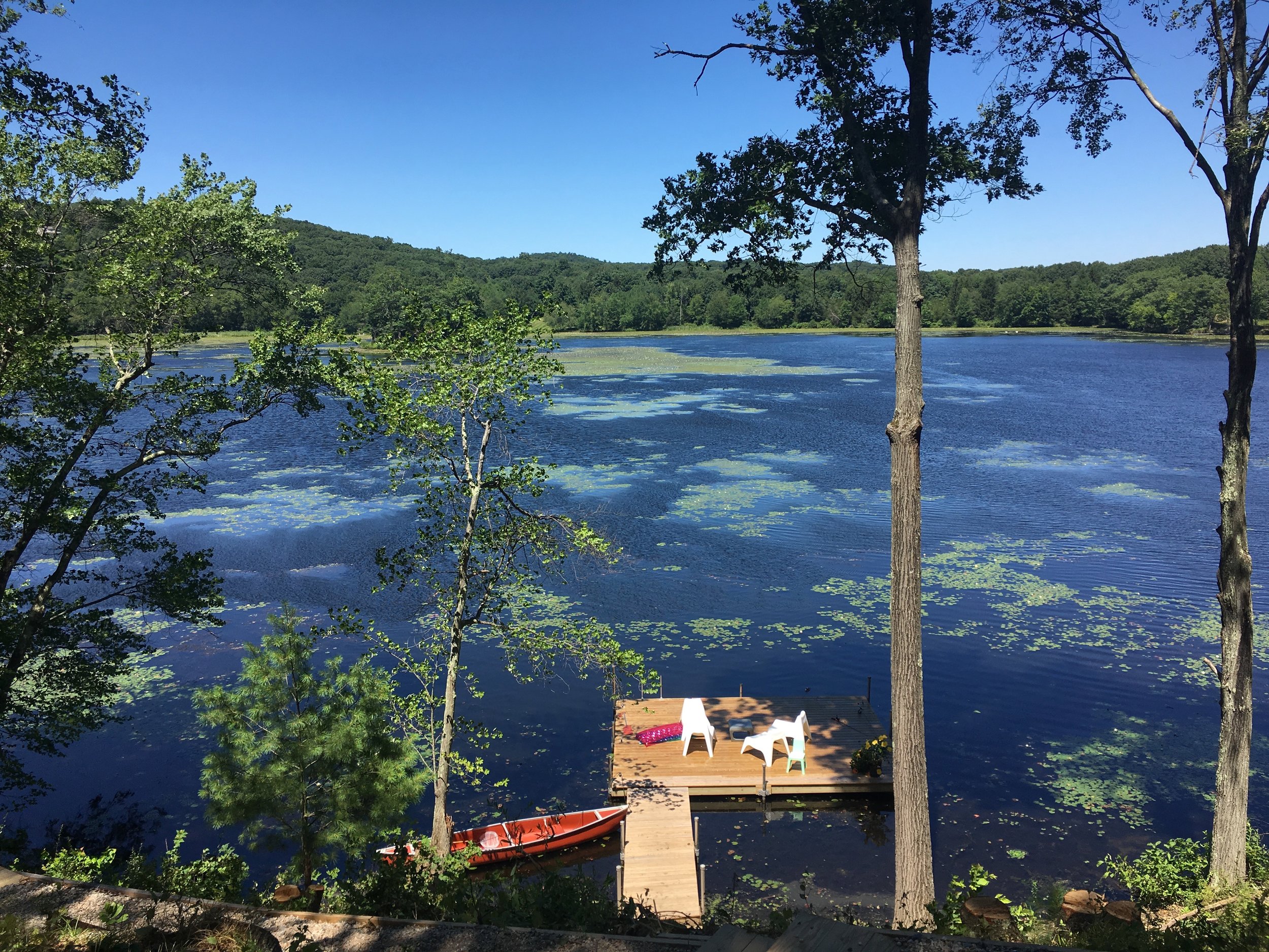 steve flynHere_s one showing tons of lily pads. It_s from Summer 2017 and it was worse this past year.jpeg