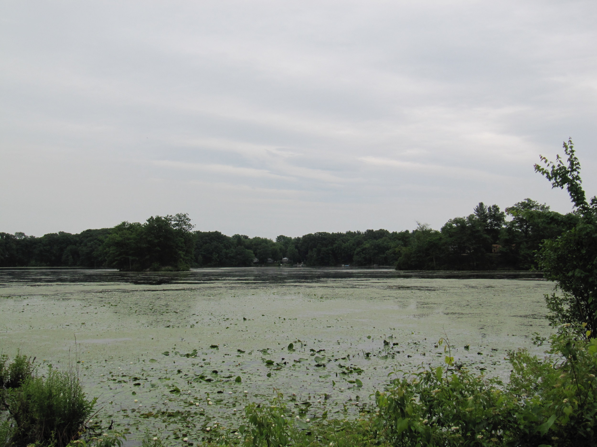 Lake 6-9-2010 from Lake Rd.jpg