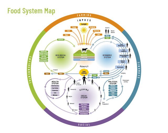 Food Systems 101: What are food systems? — Beth Timmers