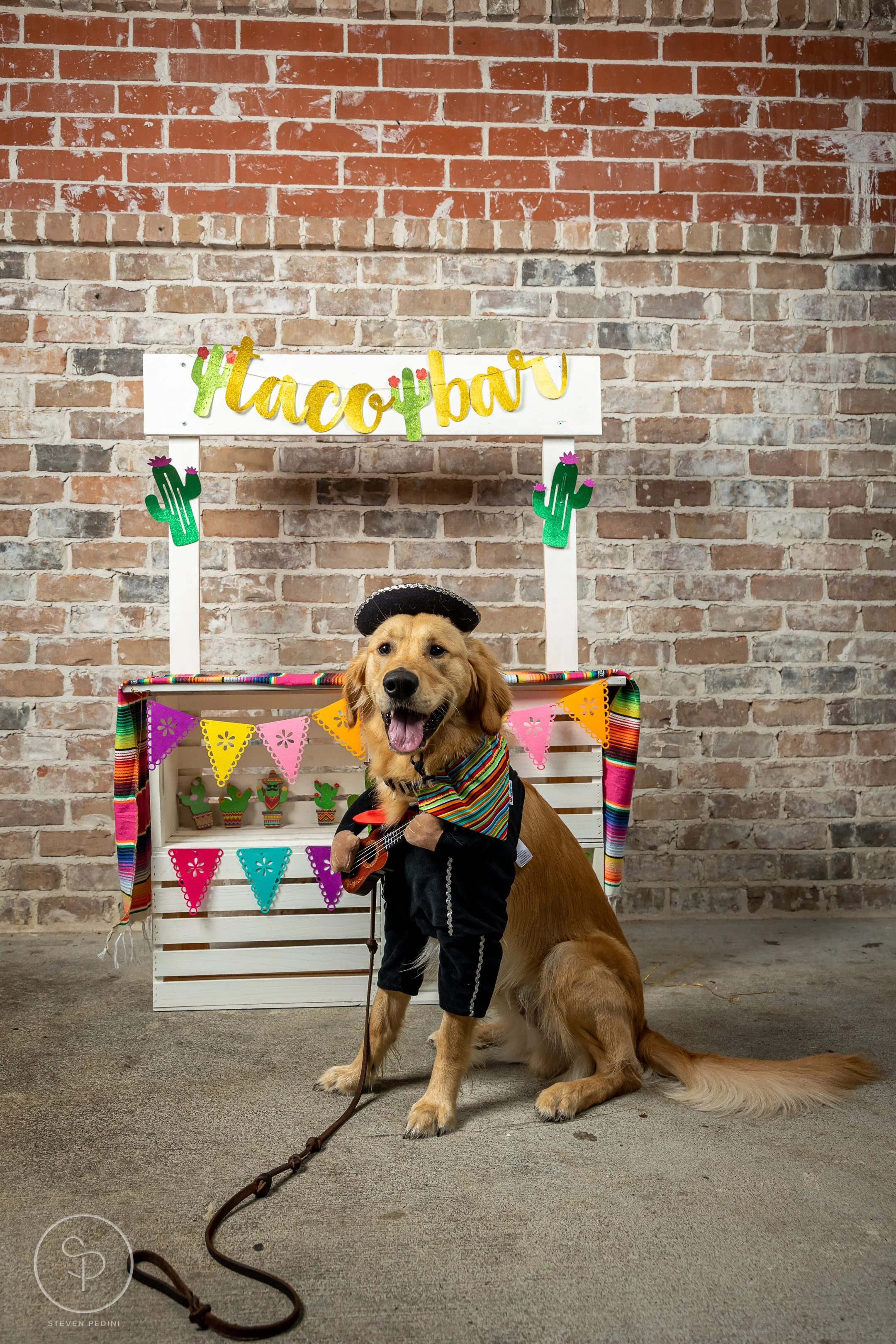 StevenPediniPhotography-CincoDeDoggo-2023-Houston-Texas-BayouHeightsBiergarten-7.jpg