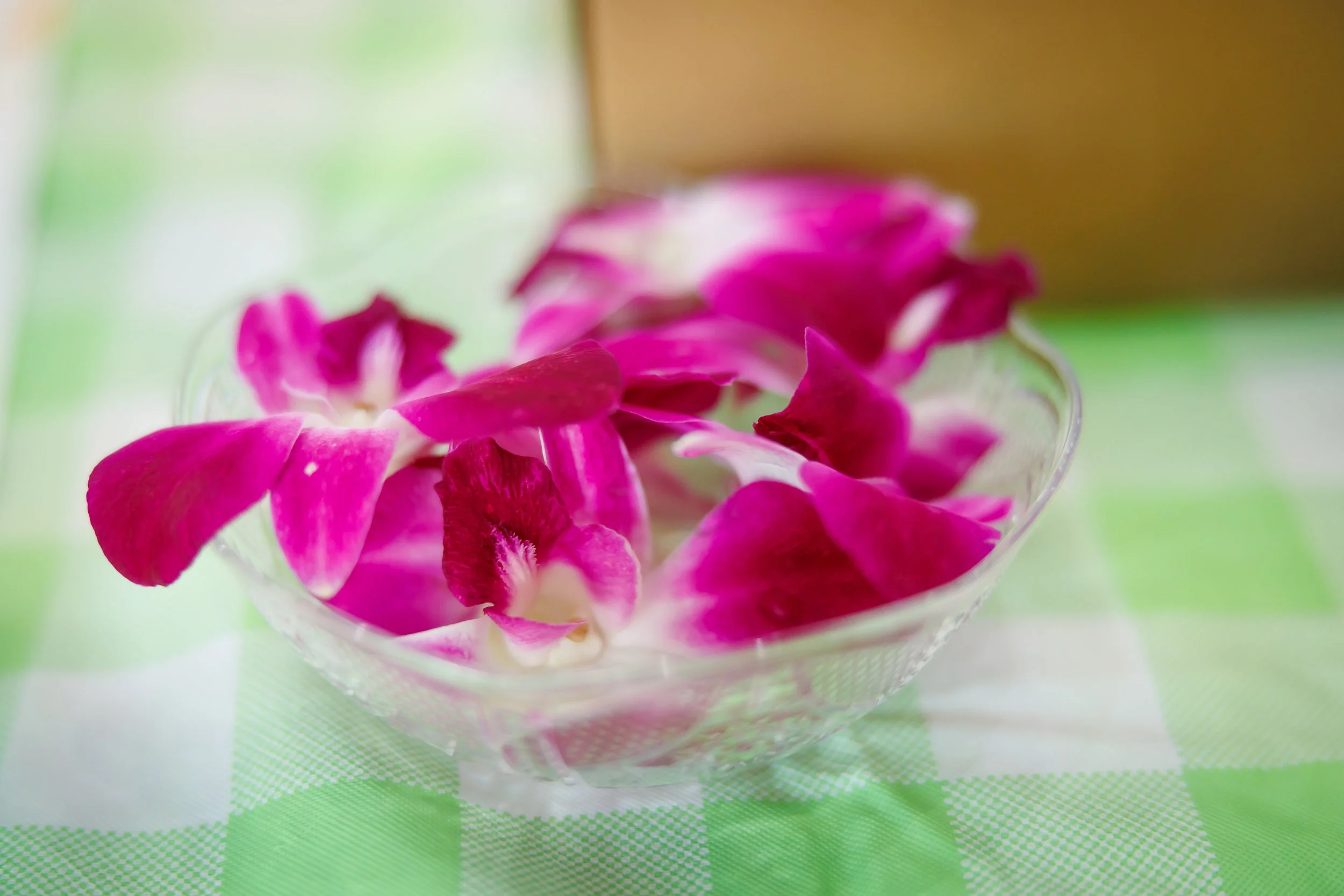 SPP-L-W-Jubilee-Cocktails&Mocktails-2024-36.jpg