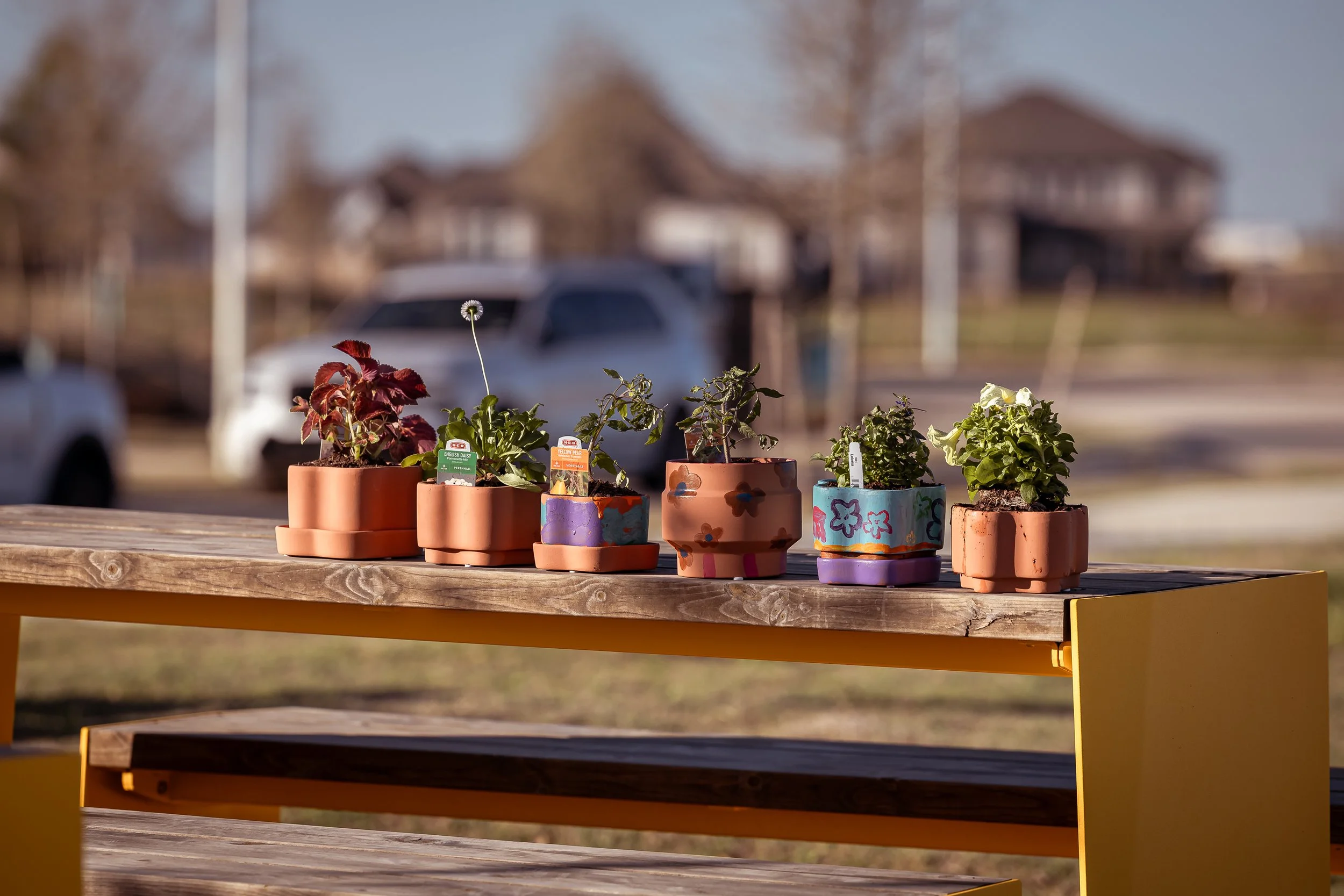 SPP-L-W-Blooming Creation-89.jpg