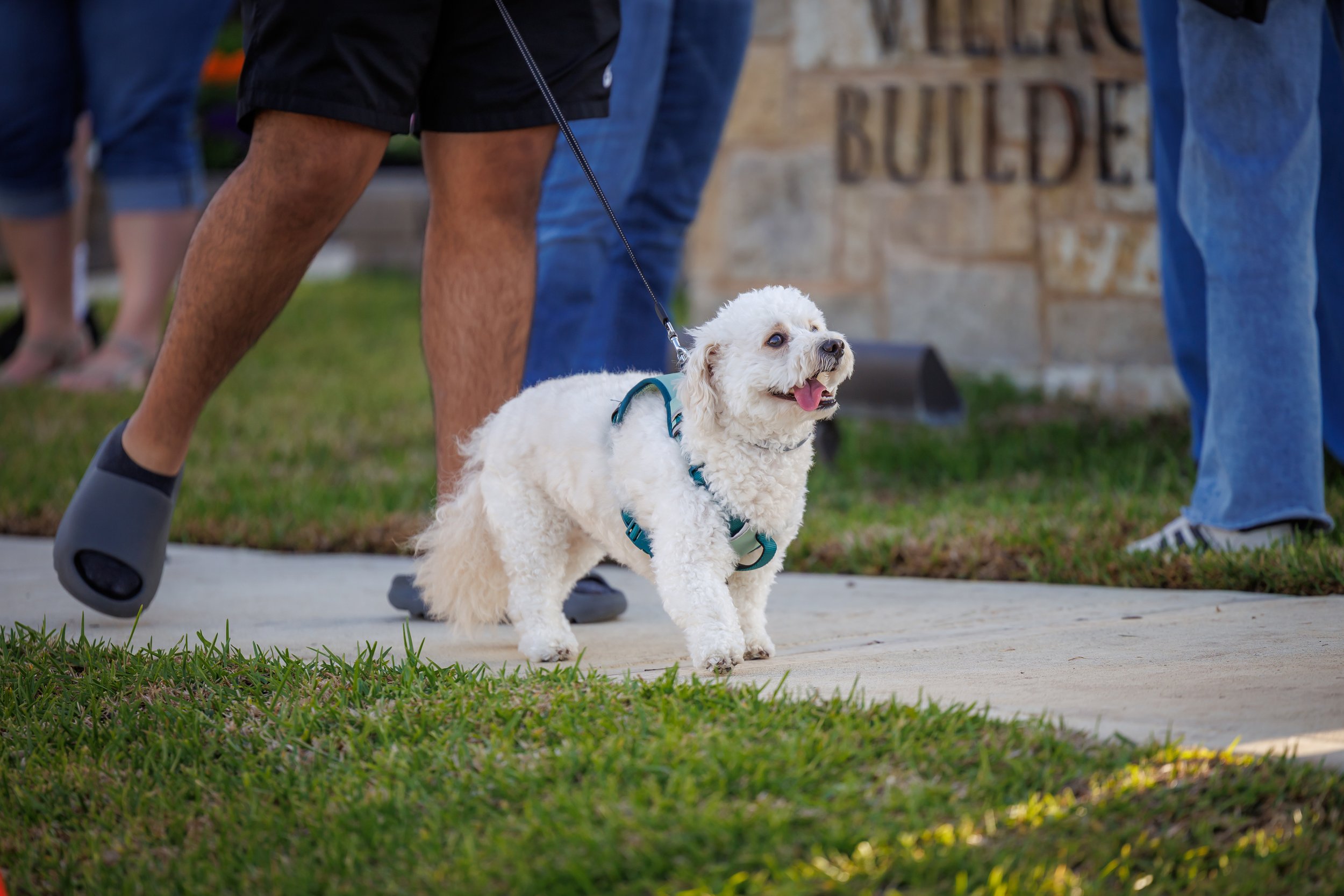 SPP-L-W-Grand Prairie Rodeo-38.jpg