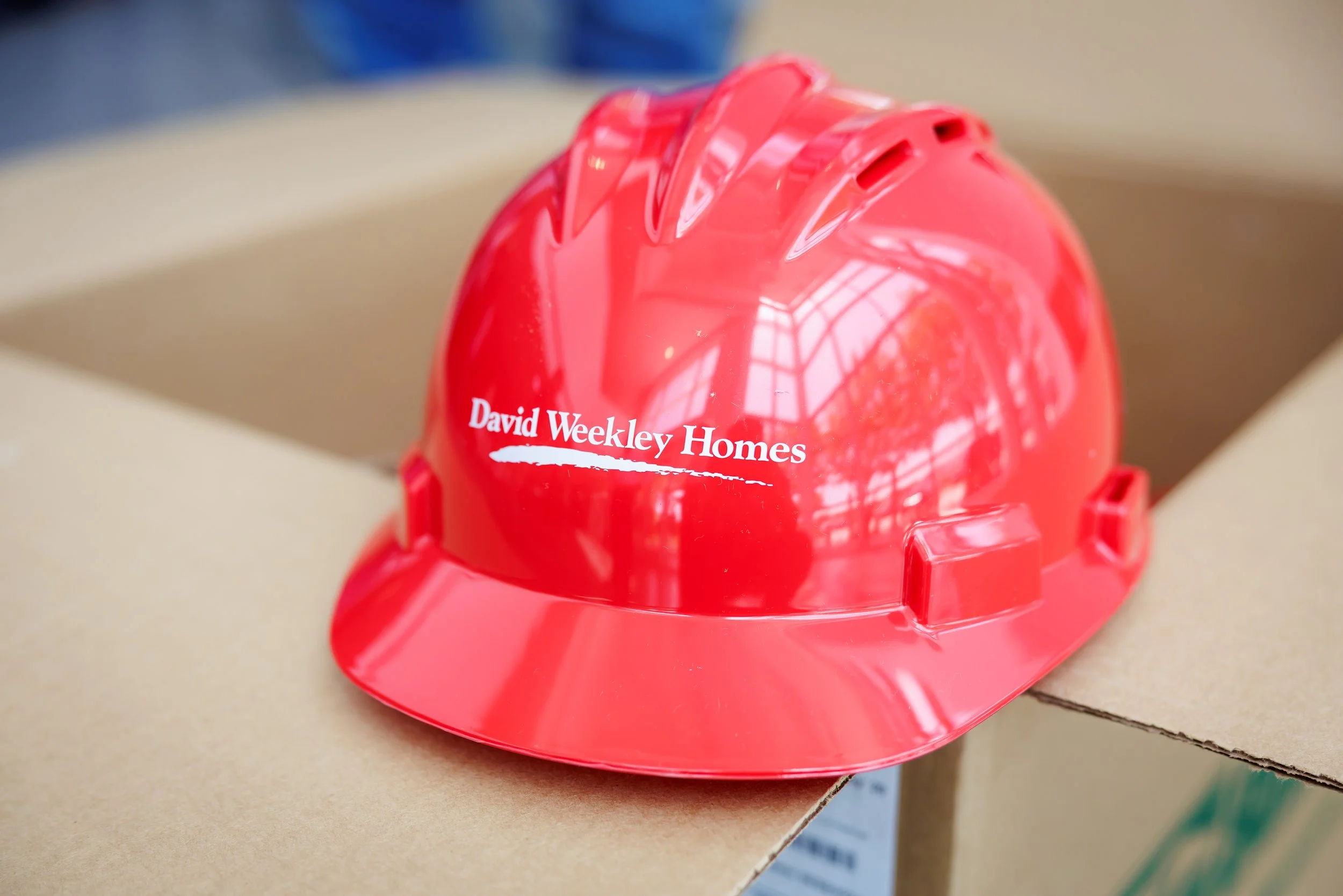 SPP-L-W-05142025-David Weekley Homes Demolition Day-1.jpg