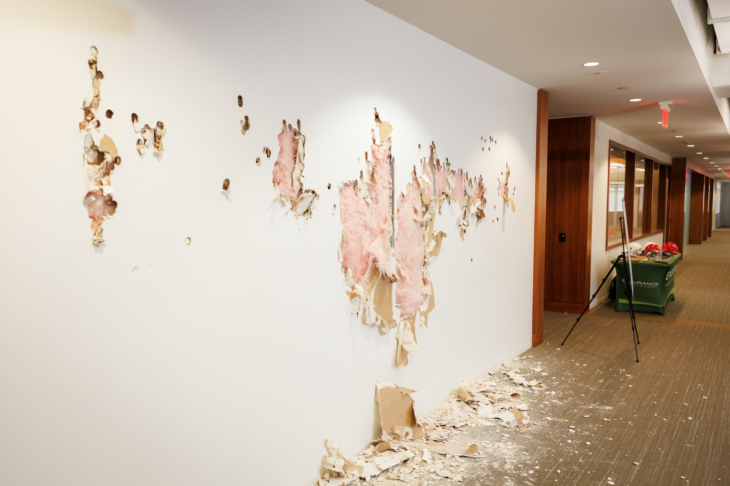 SPP-L-W-05142025-David Weekley Homes Demolition Day-239.jpg