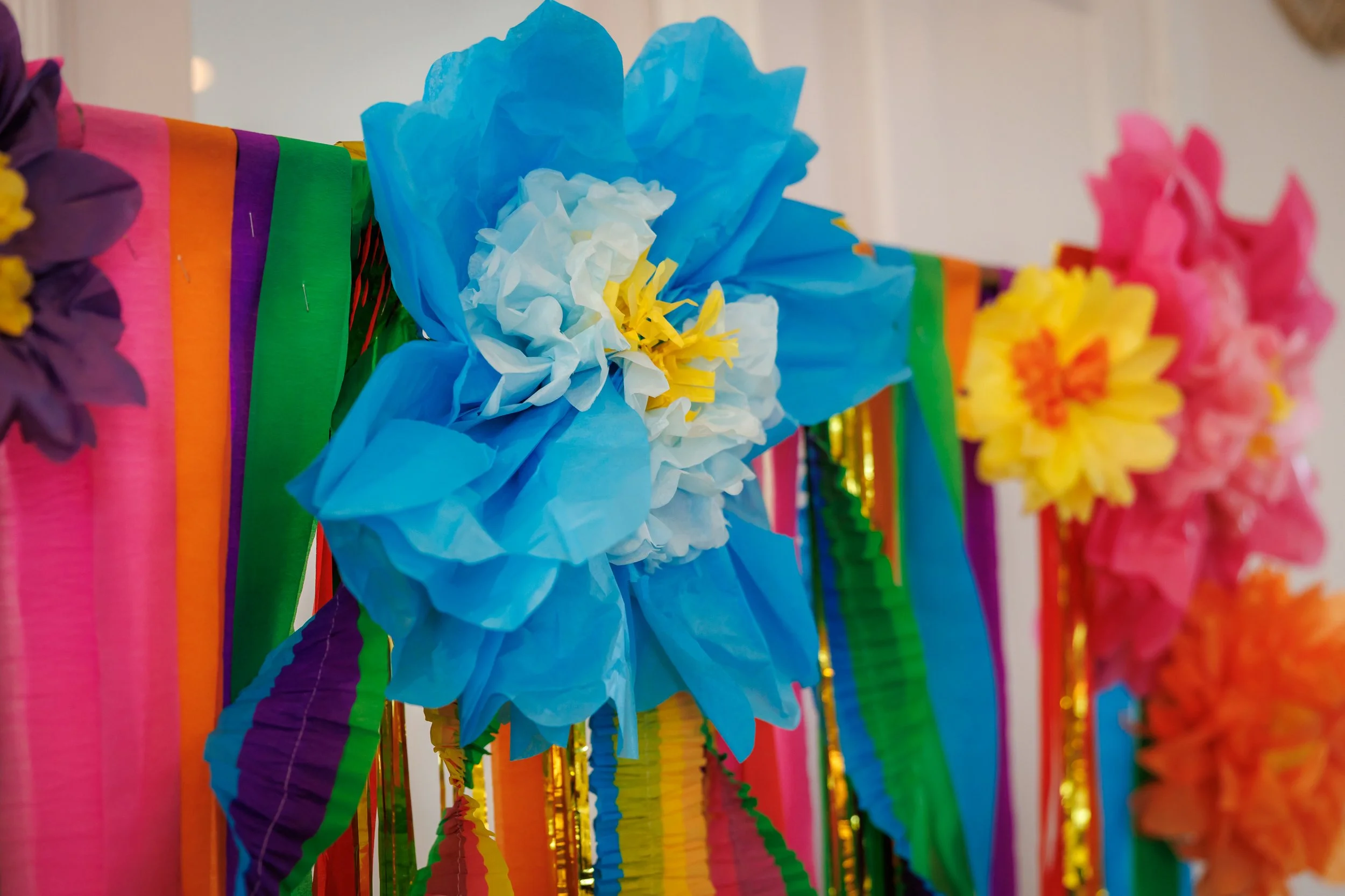 Steven Pedini Photography-Jubilee A Taste Of Mexico-Web-7-AH2A9830.jpg