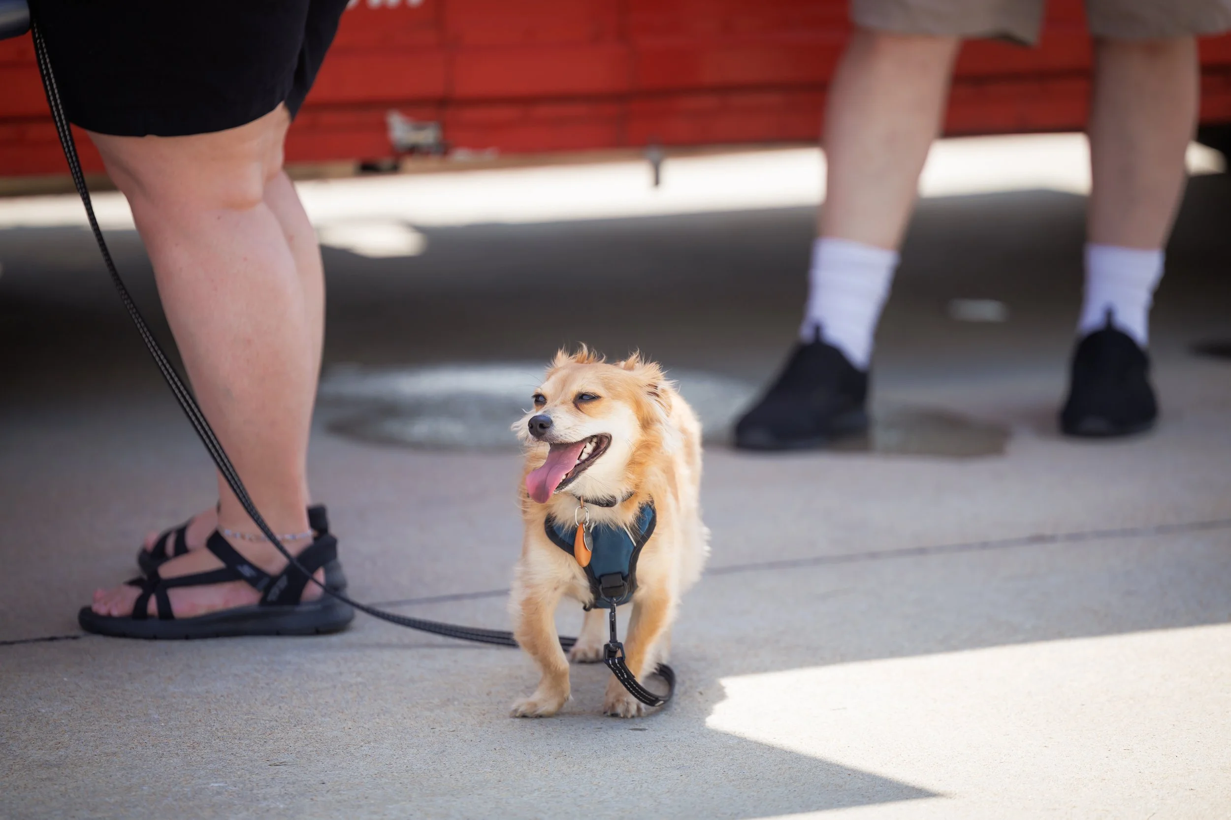 Steven Pedini Photography-08092025-Grand Prairie-End of Summer Splash--Web-118-AH2A0434.jpg