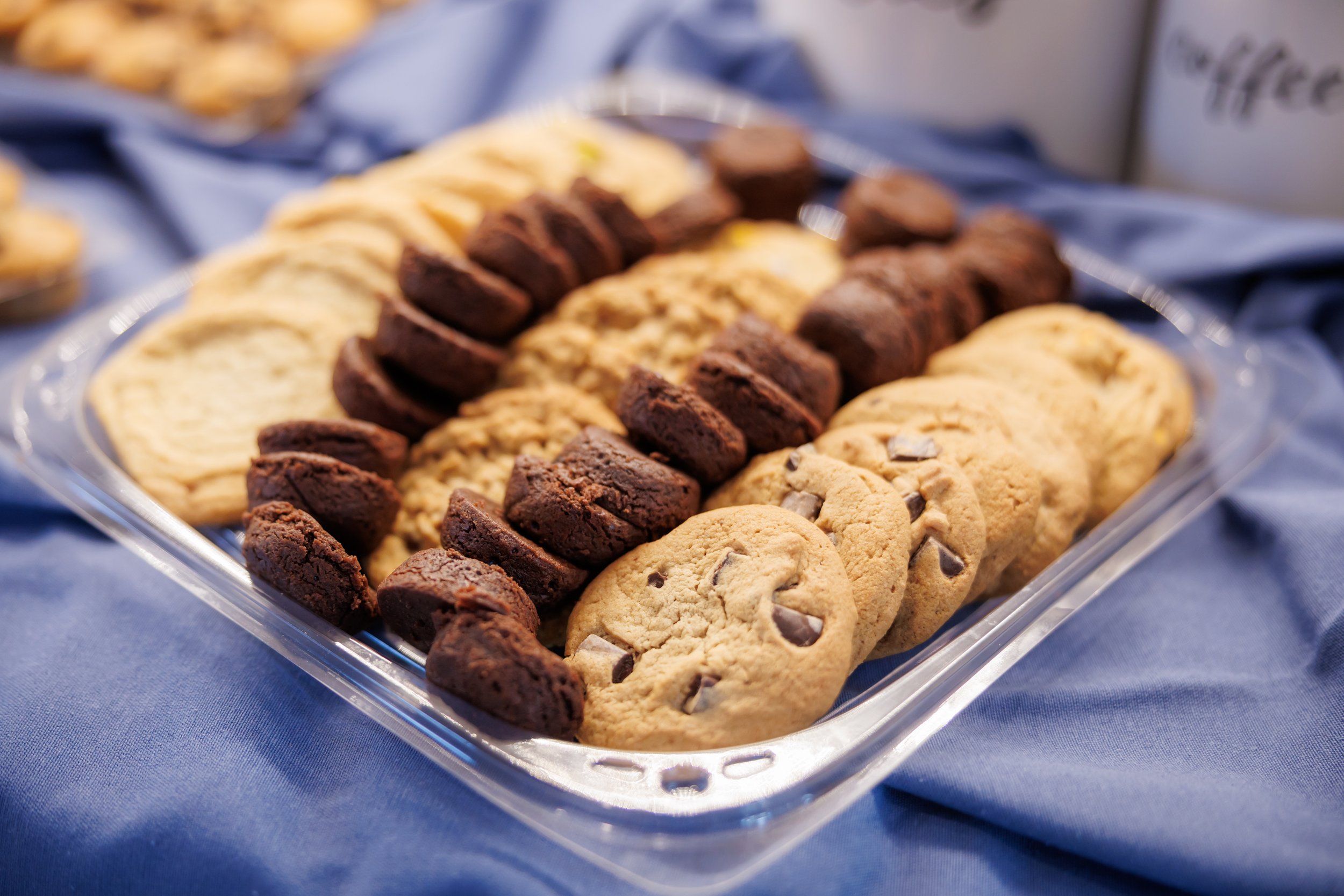 Steven Pedini Photography-09082025-Jubilee Book-Web-15-AH2A3219.jpg