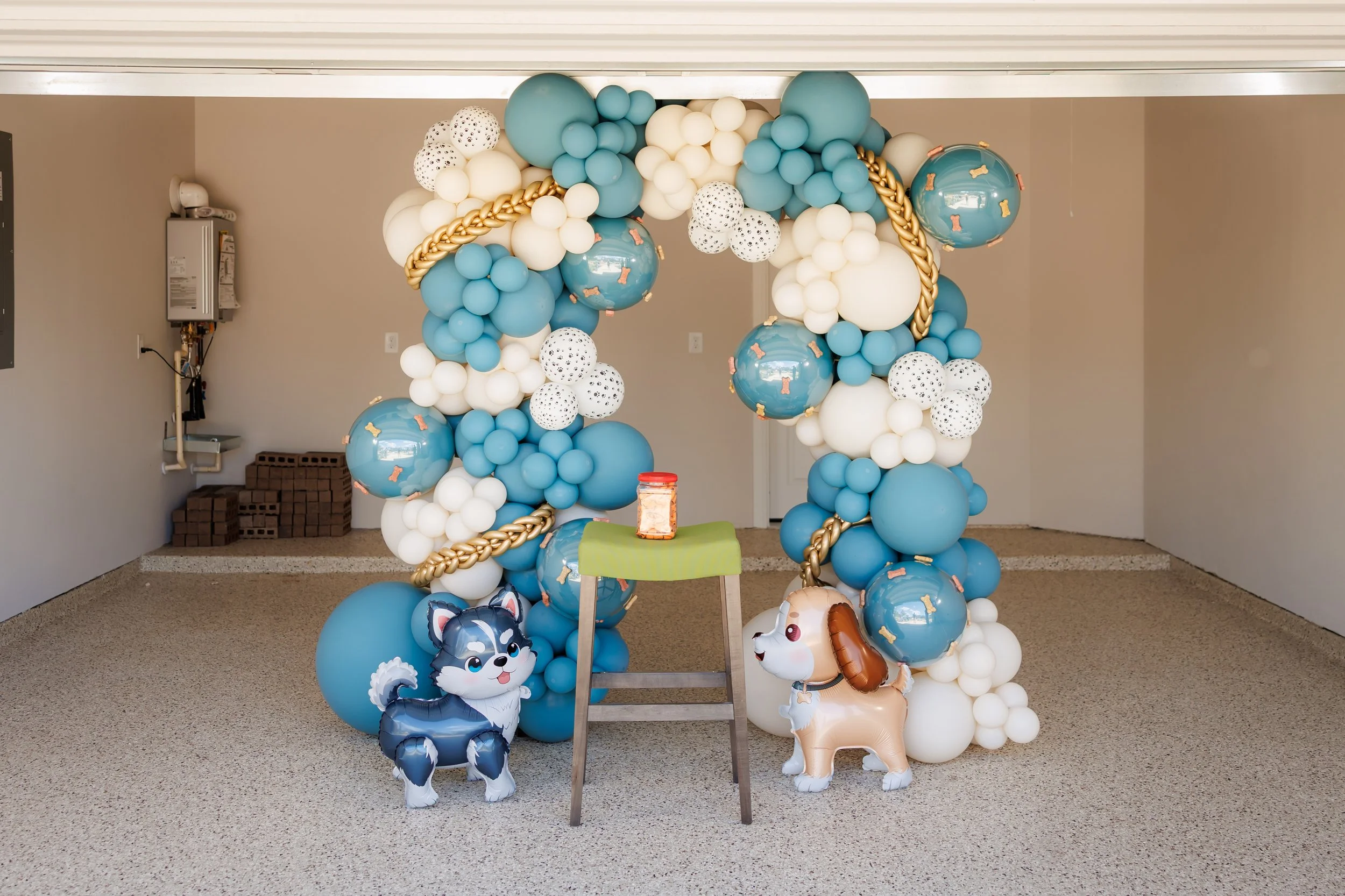 Steven Pedini Photography-10-4-2025 David Weekley Homes Blessing of the Pets-Web-1-AH2A6543.jpg