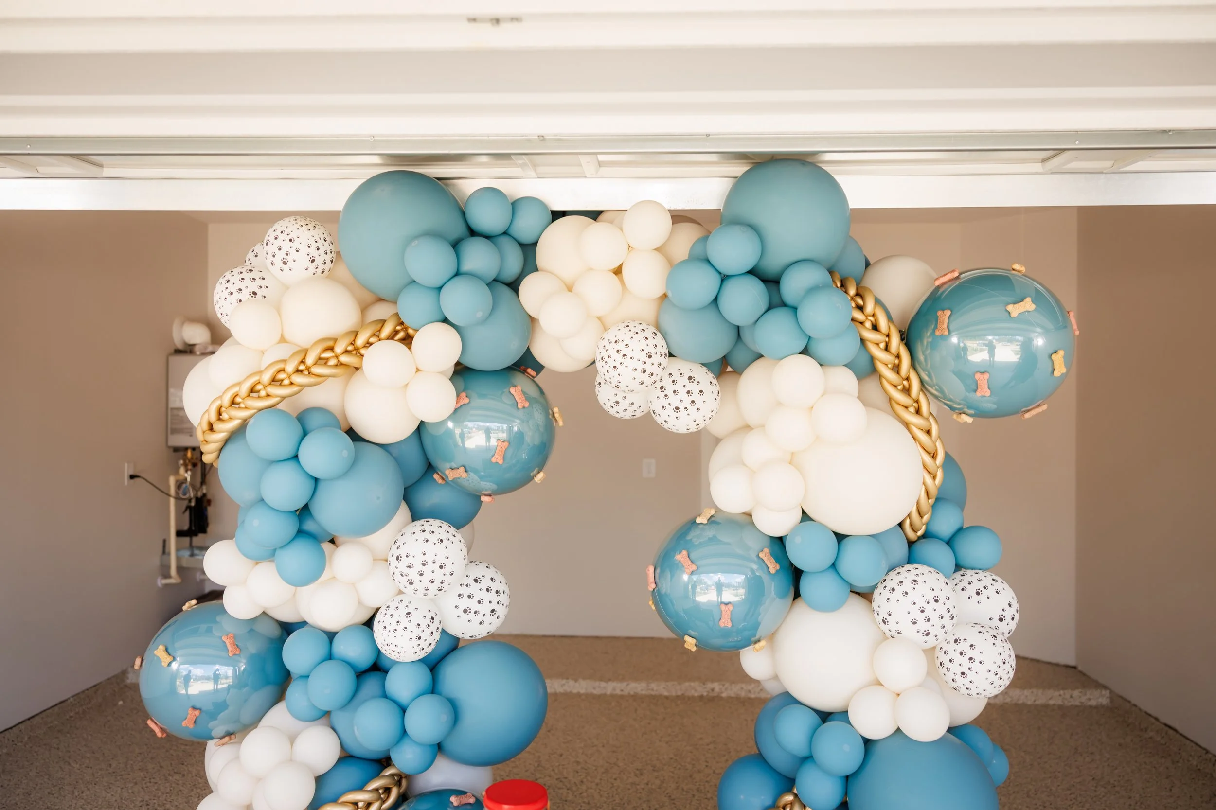 Steven Pedini Photography-10-4-2025 David Weekley Homes Blessing of the Pets-Web-2-AH2A6544.jpg