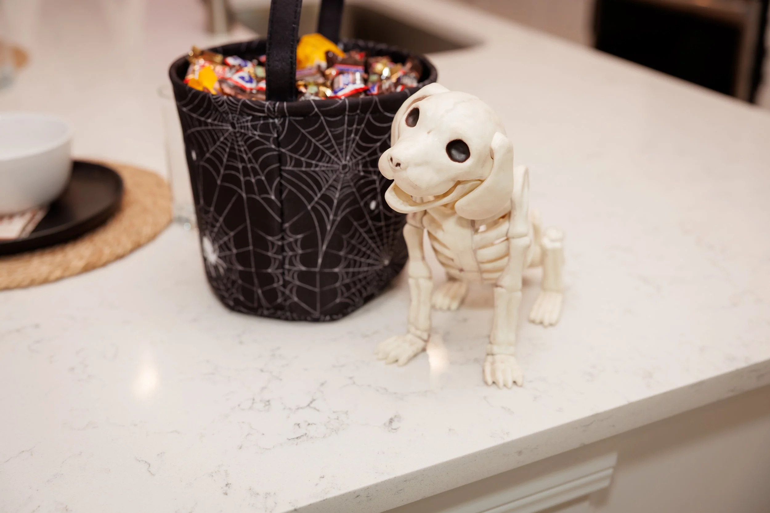 Steven Pedini Photography-10-4-2025 David Weekley Homes Blessing of the Pets-Web-6-AH2A6551.jpg