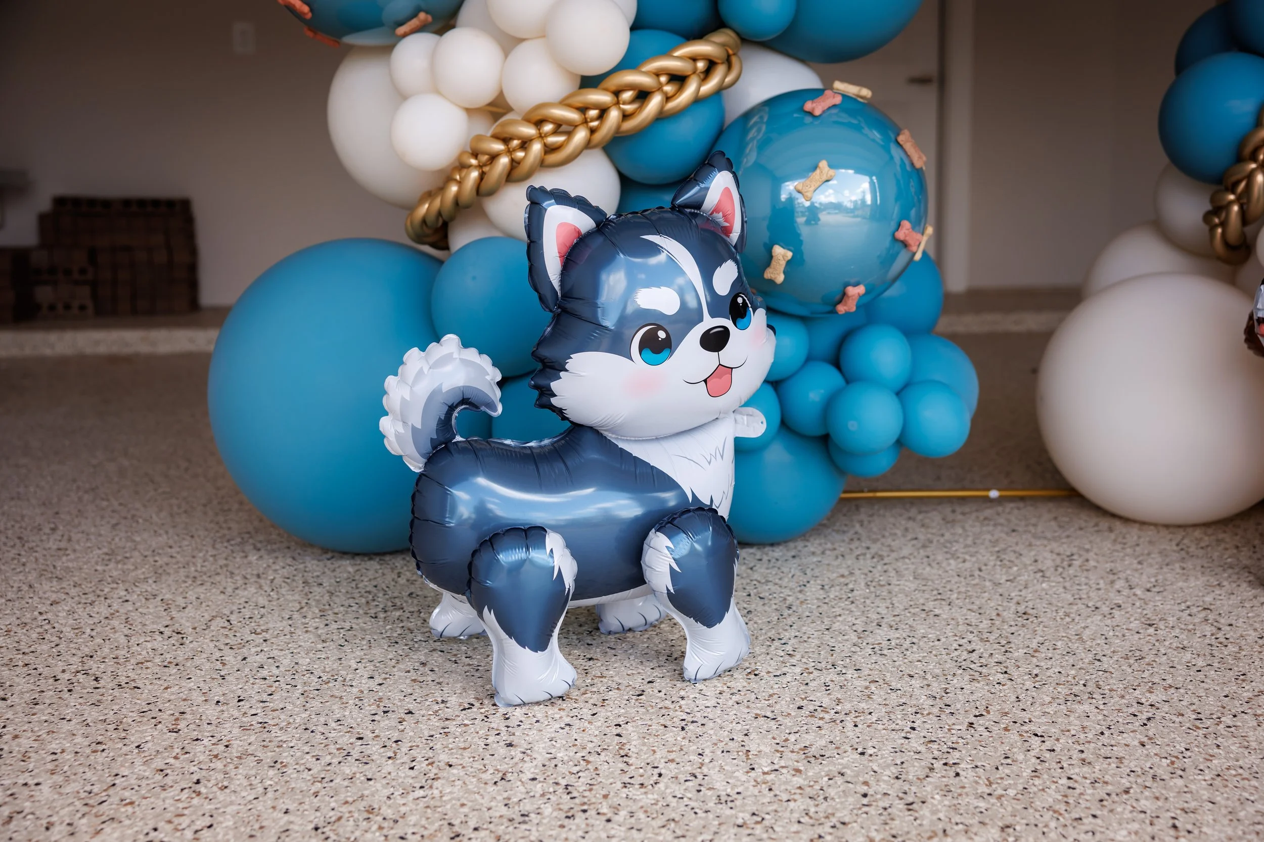 Steven Pedini Photography-10-4-2025 David Weekley Homes Blessing of the Pets-Web-16-AH2A6562.jpg