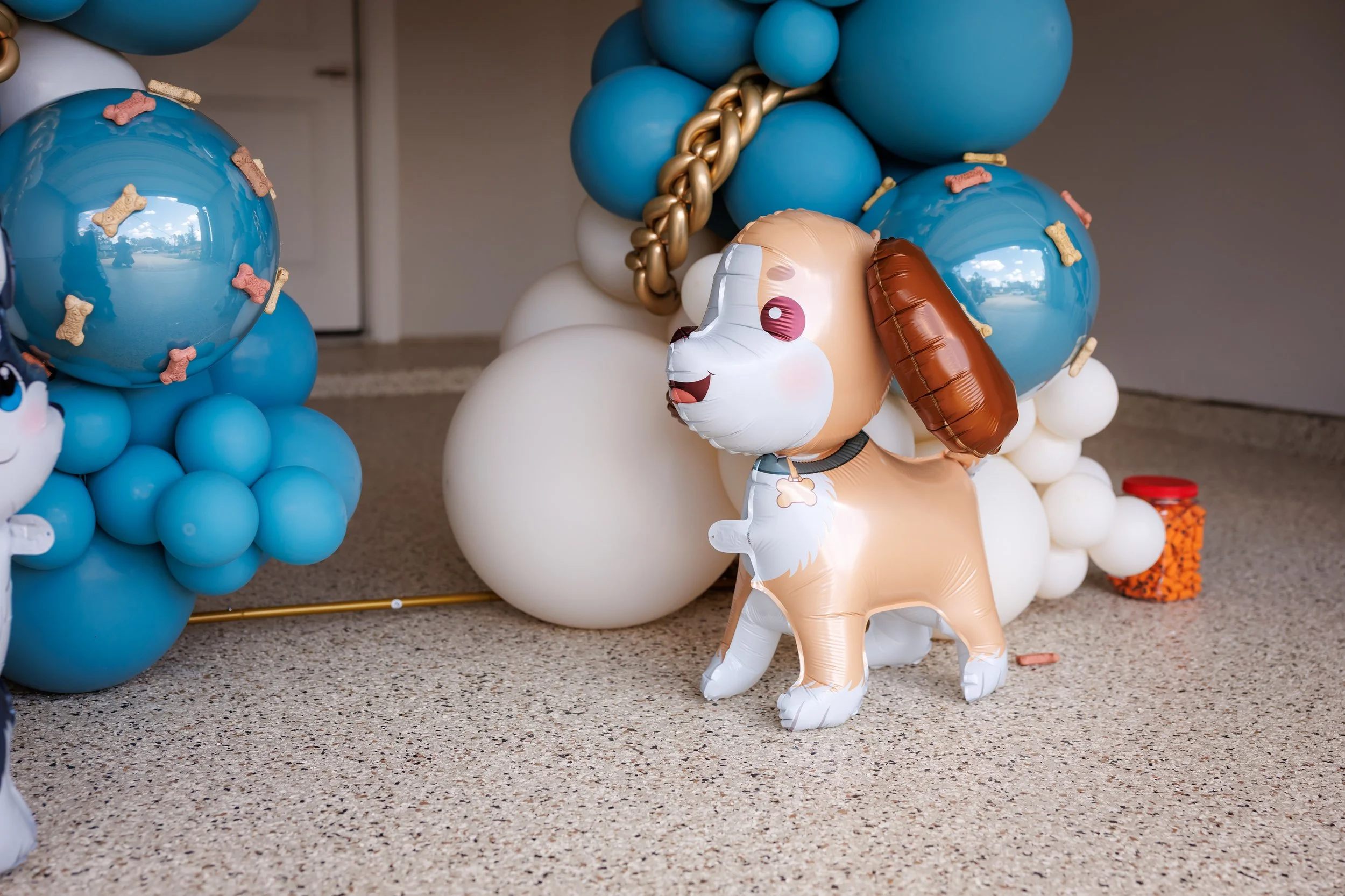 Steven Pedini Photography-10-4-2025 David Weekley Homes Blessing of the Pets-Web-17-AH2A6563.jpg