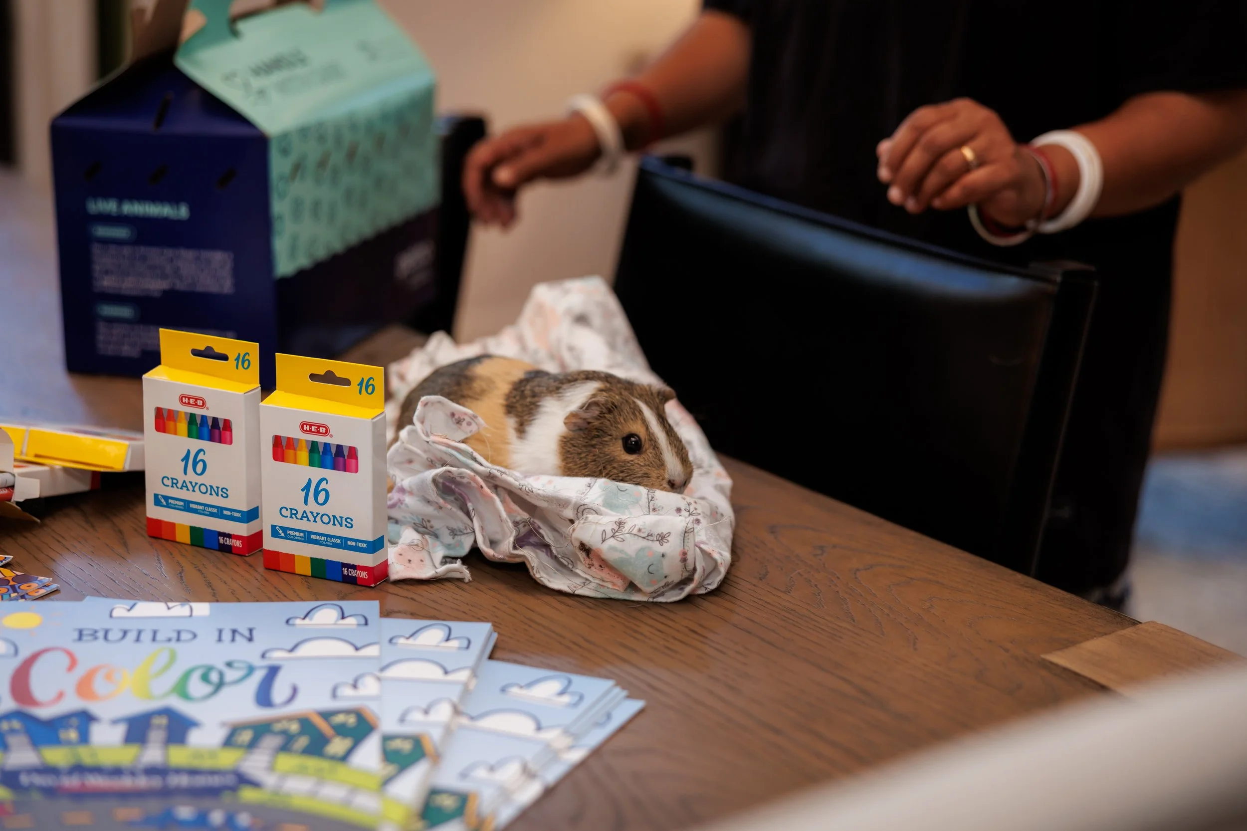 Steven Pedini Photography-10-4-2025 David Weekley Homes Blessing of the Pets-Web-22-AH2A6573.jpg