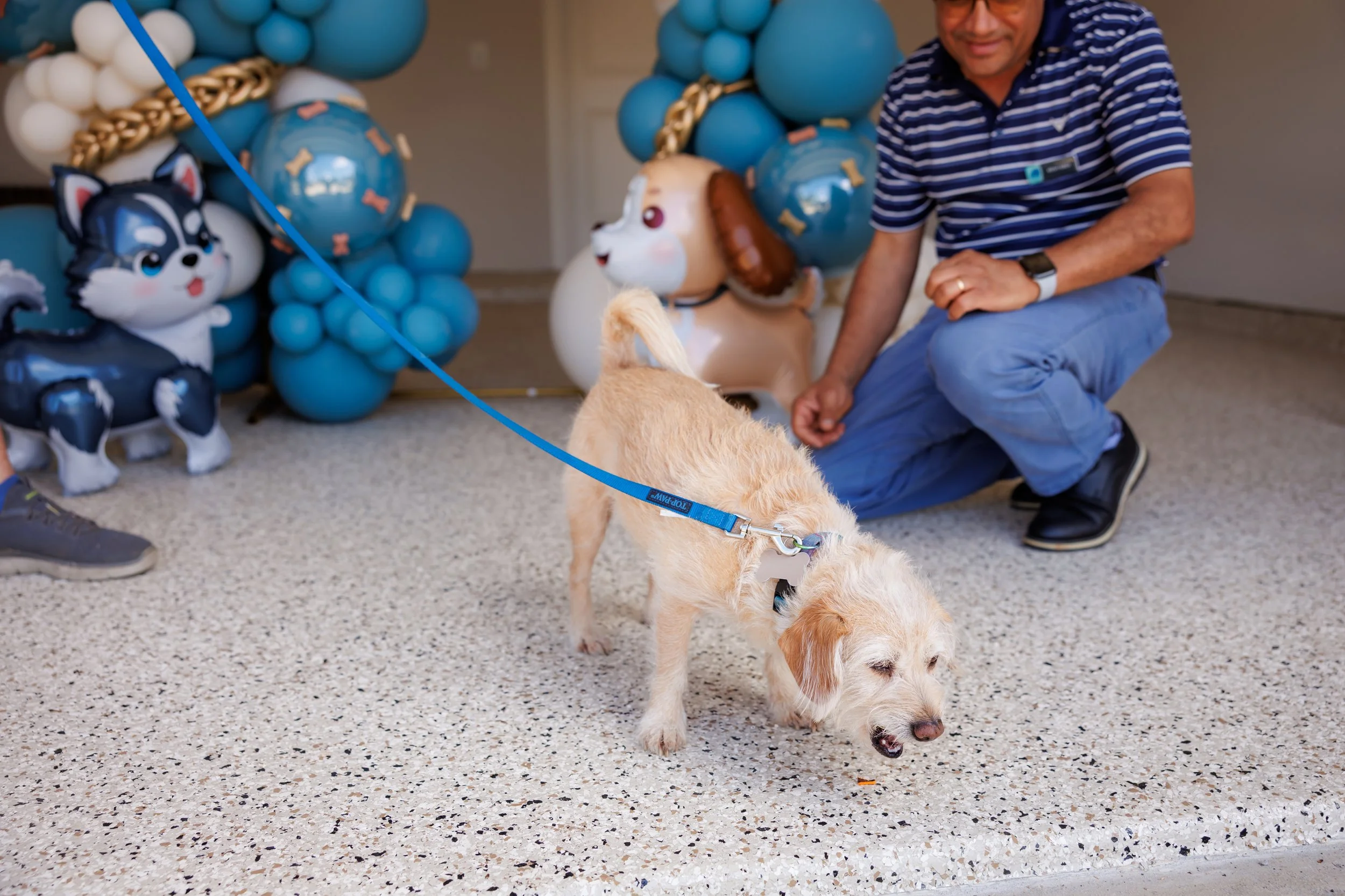 Steven Pedini Photography-10-4-2025 David Weekley Homes Blessing of the Pets-Web-27-AH2A6589.jpg