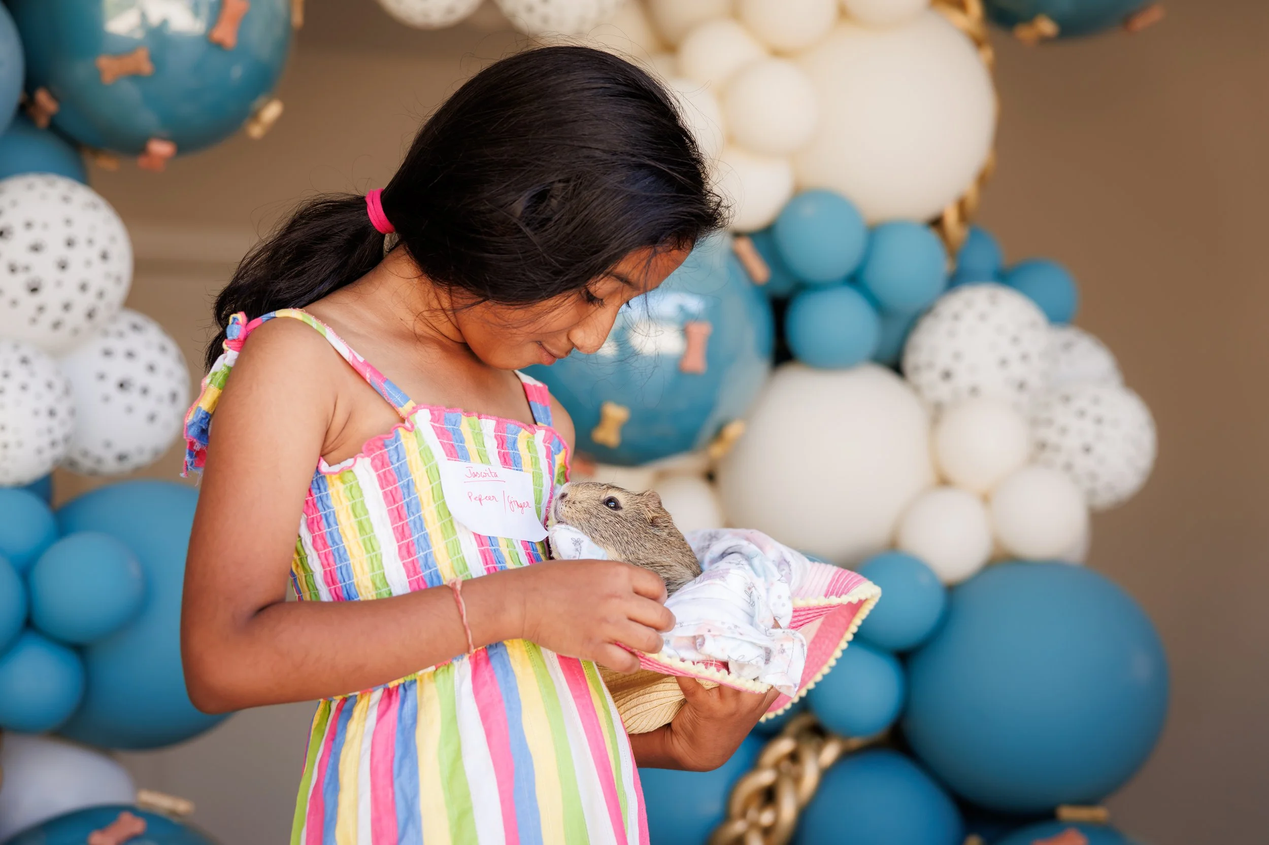 Steven Pedini Photography-10-4-2025 David Weekley Homes Blessing of the Pets-Web-46-AH2A6626.jpg