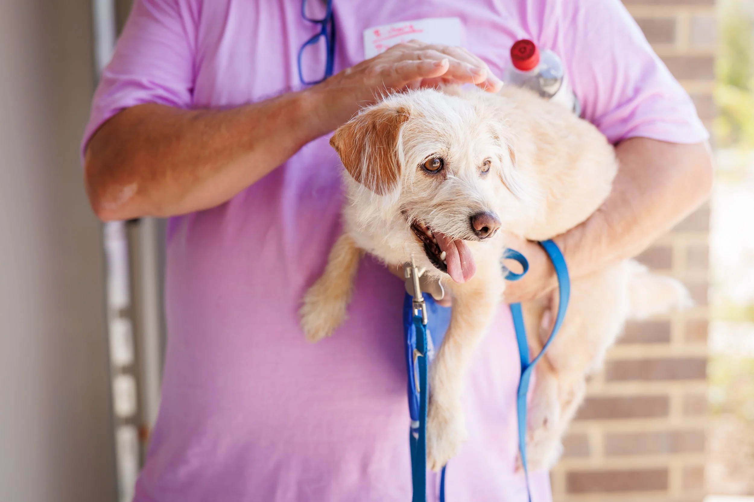 Steven Pedini Photography-10-4-2025 David Weekley Homes Blessing of the Pets-Web-50-AH2A6634.jpg