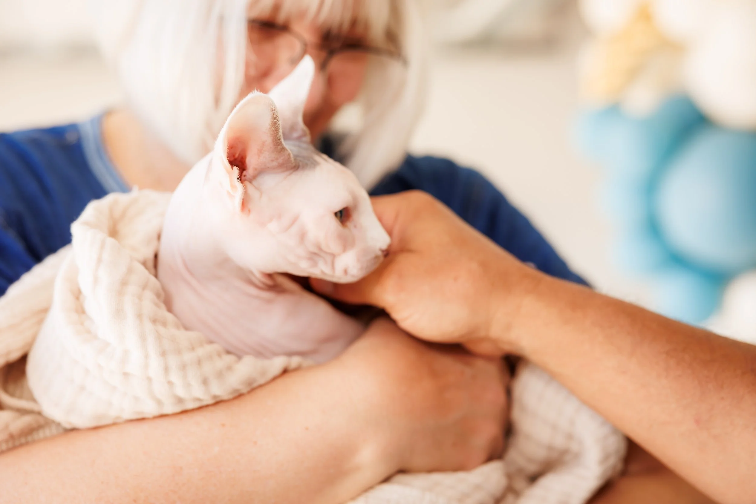 Steven Pedini Photography-10-4-2025 David Weekley Homes Blessing of the Pets-Web-75-AH2A6684.jpg