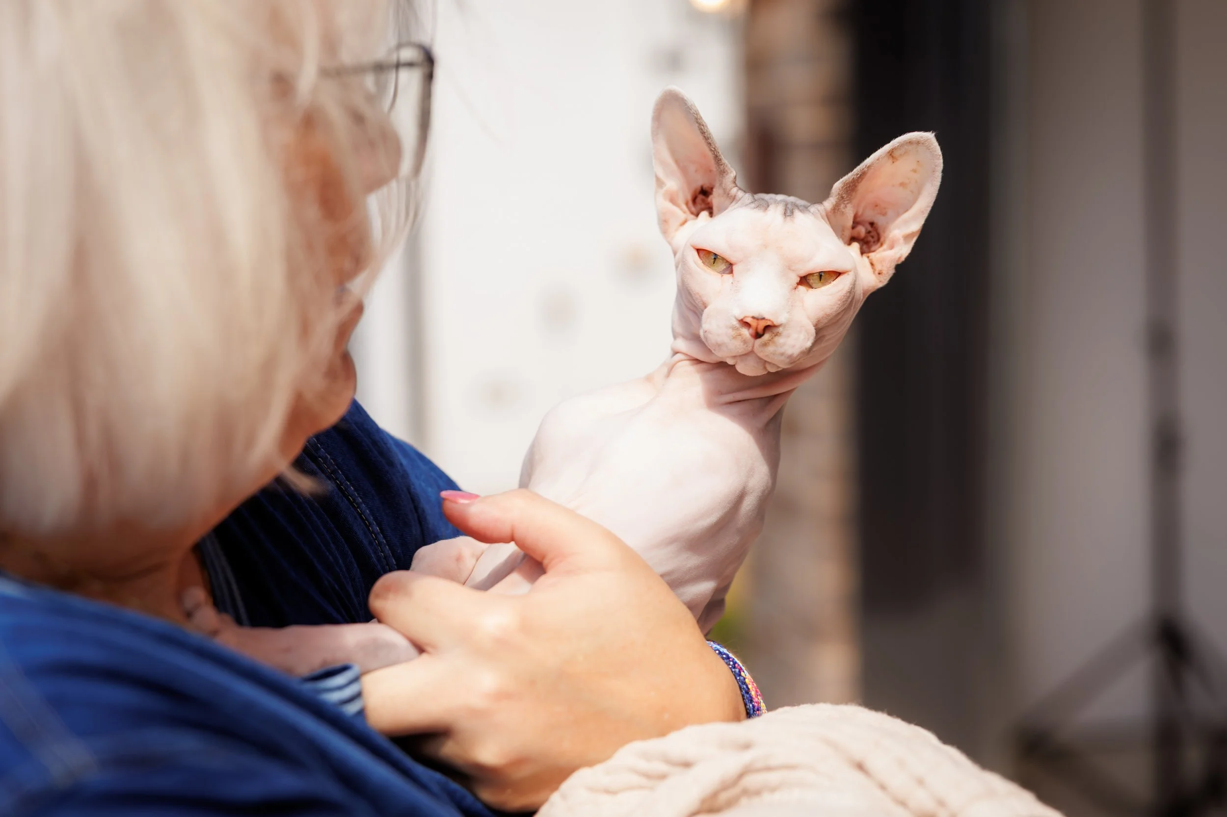 Steven Pedini Photography-10-4-2025 David Weekley Homes Blessing of the Pets-Web-78-AH2A6695.jpg