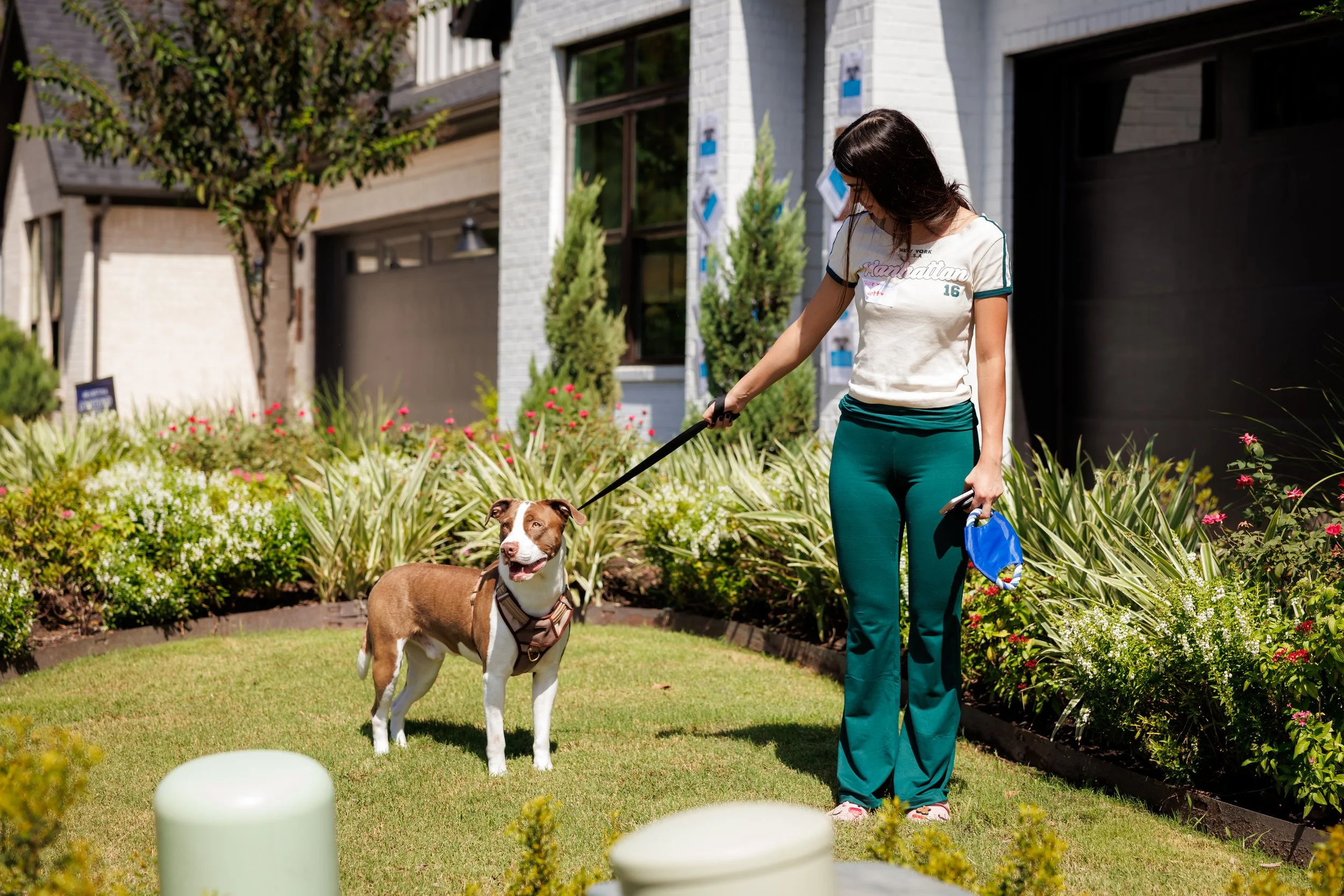 Steven Pedini Photography-10-4-2025 David Weekley Homes Blessing of the Pets-Web-82-AH2A6706.jpg