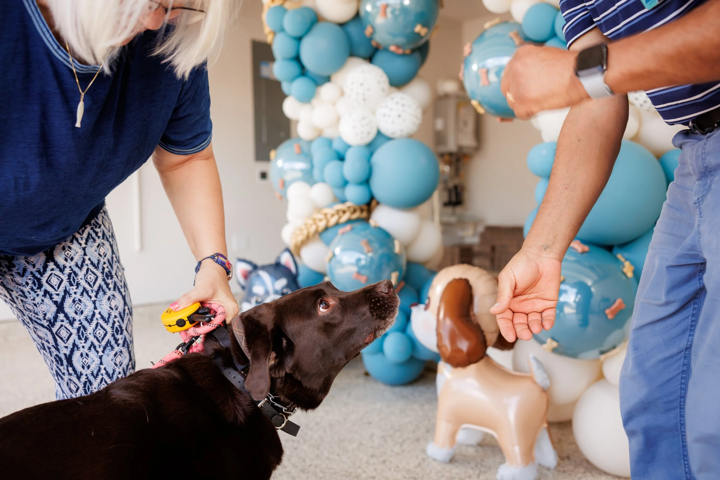 Steven Pedini Photography-10-4-2025 David Weekley Homes Blessing of the Pets-Web-85-AH2A6732.jpg