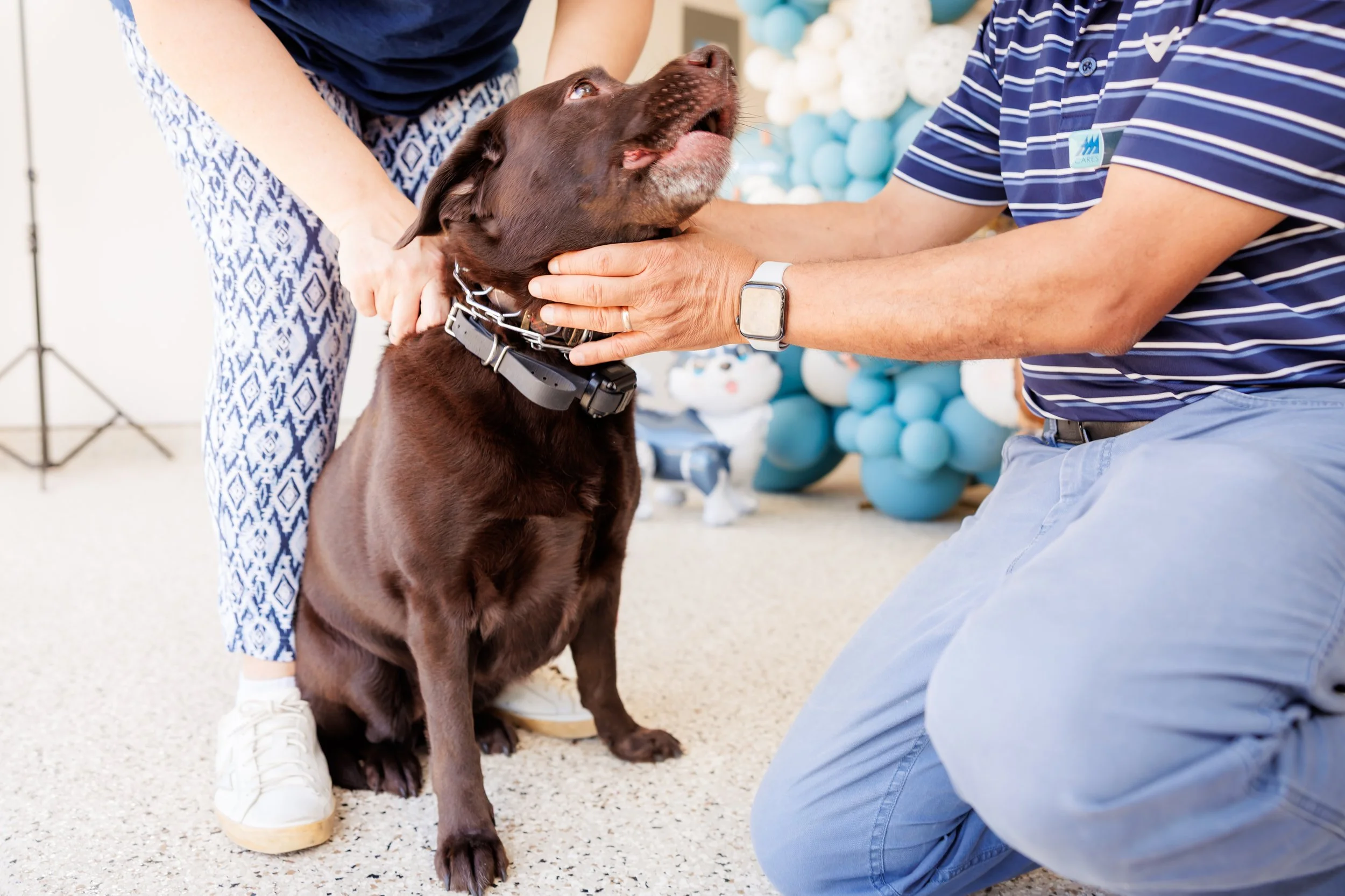 Steven Pedini Photography-10-4-2025 David Weekley Homes Blessing of the Pets-Web-89-AH2A6740.jpg