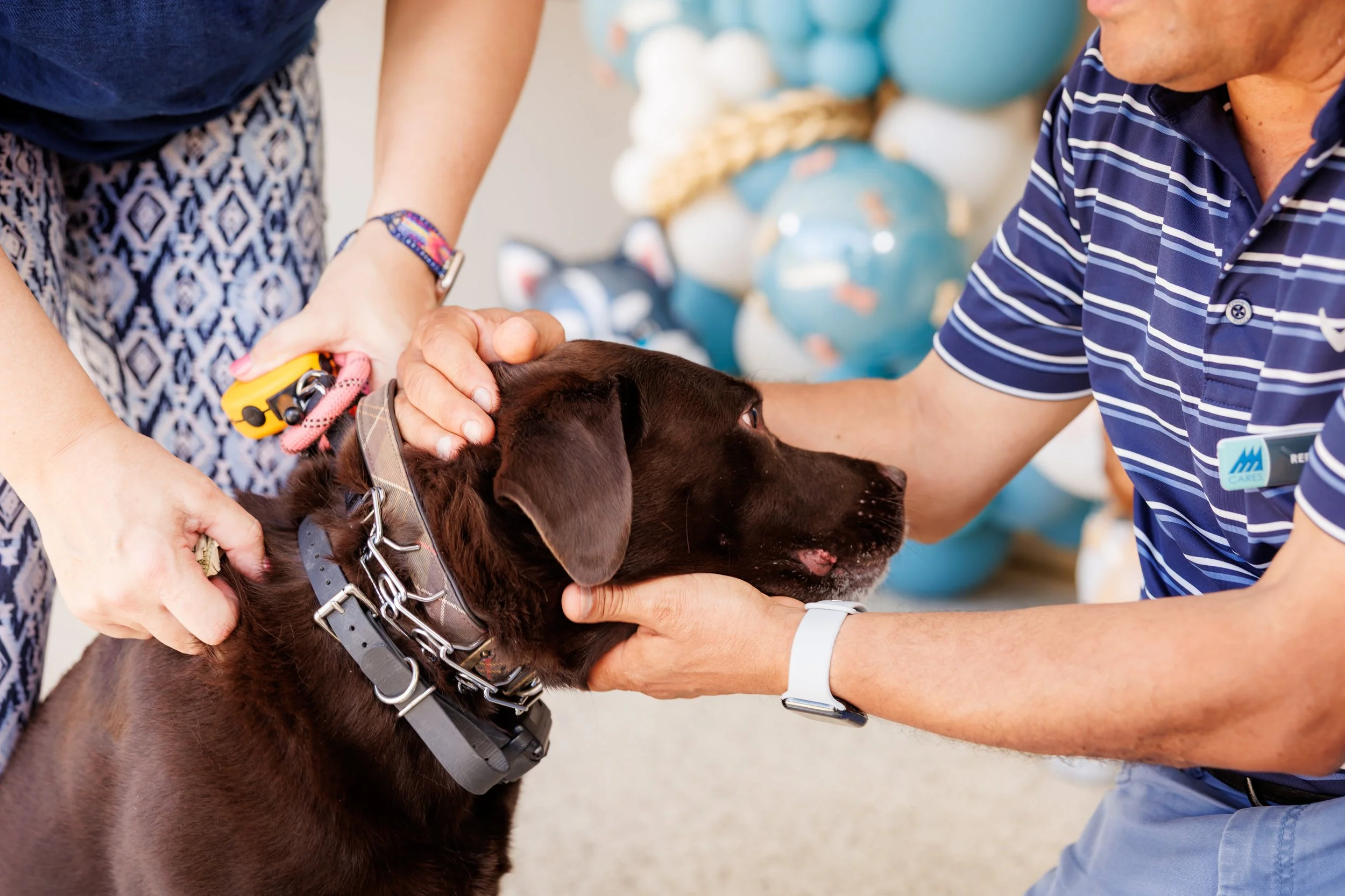 Steven Pedini Photography-10-4-2025 David Weekley Homes Blessing of the Pets-Web-92-AH2A6746.jpg