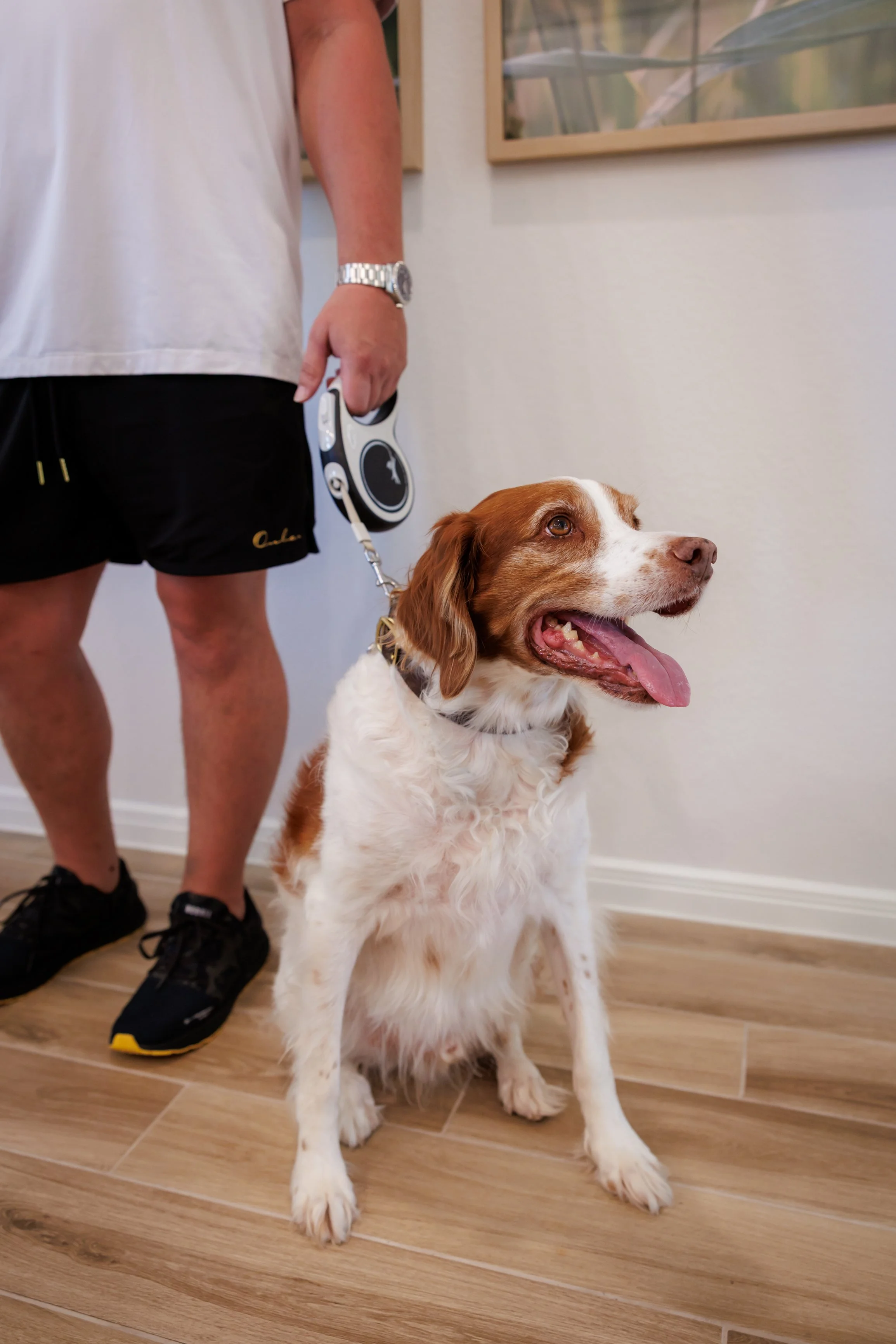 Steven Pedini Photography-10-4-2025 David Weekley Homes Blessing of the Pets-Web-119-AH2A6848.jpg